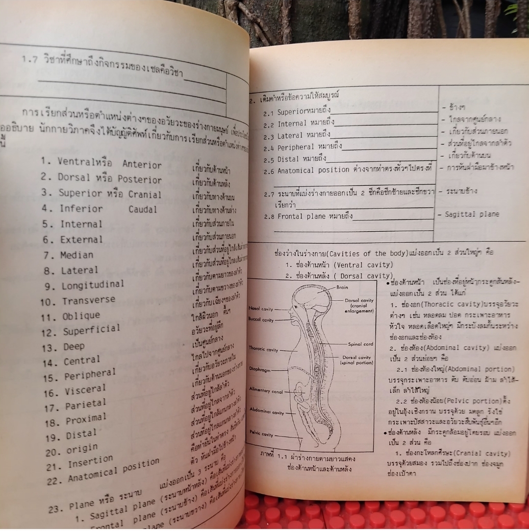 แมทชิ่งโปรแกรม กายวิภาคและสรีรวิทยาของมนุษย์ โดย พิชิต ภูติจันทร์ แนวคิดหลัก-แบบทดสอบ-เฉลย มือ1