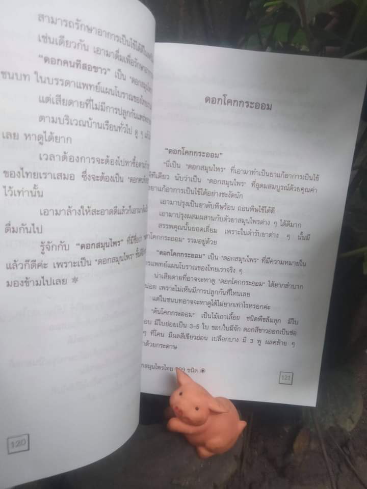 ตำราดอกสมุนไพร 109 ชนิด สรรพคุณเยี่ยม