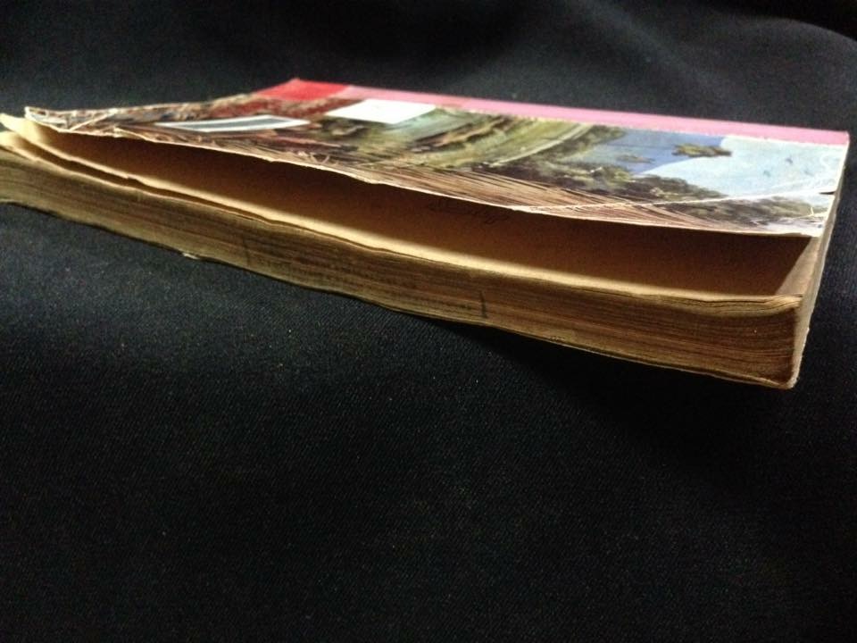 แผ่นดินนี้เป็นที่รัก