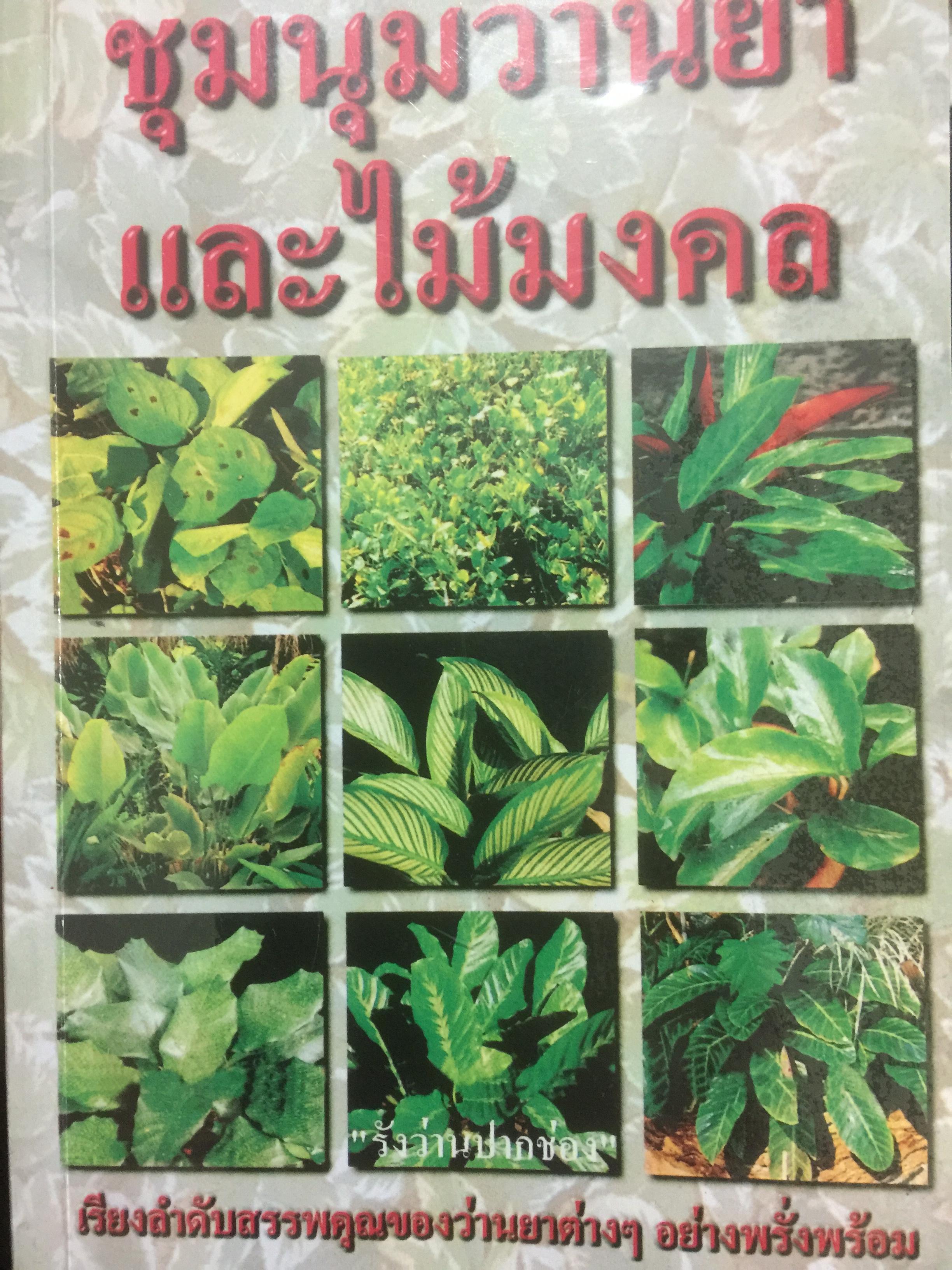 ชุมนุมว่านยาและไม้มงคล เรียงลำดับสรรพคุณของว่านยาต่างฯอย่างพรั่งพร้อม ผู้เขียน รังว่าน ปากช่อง่ 600 กรัม