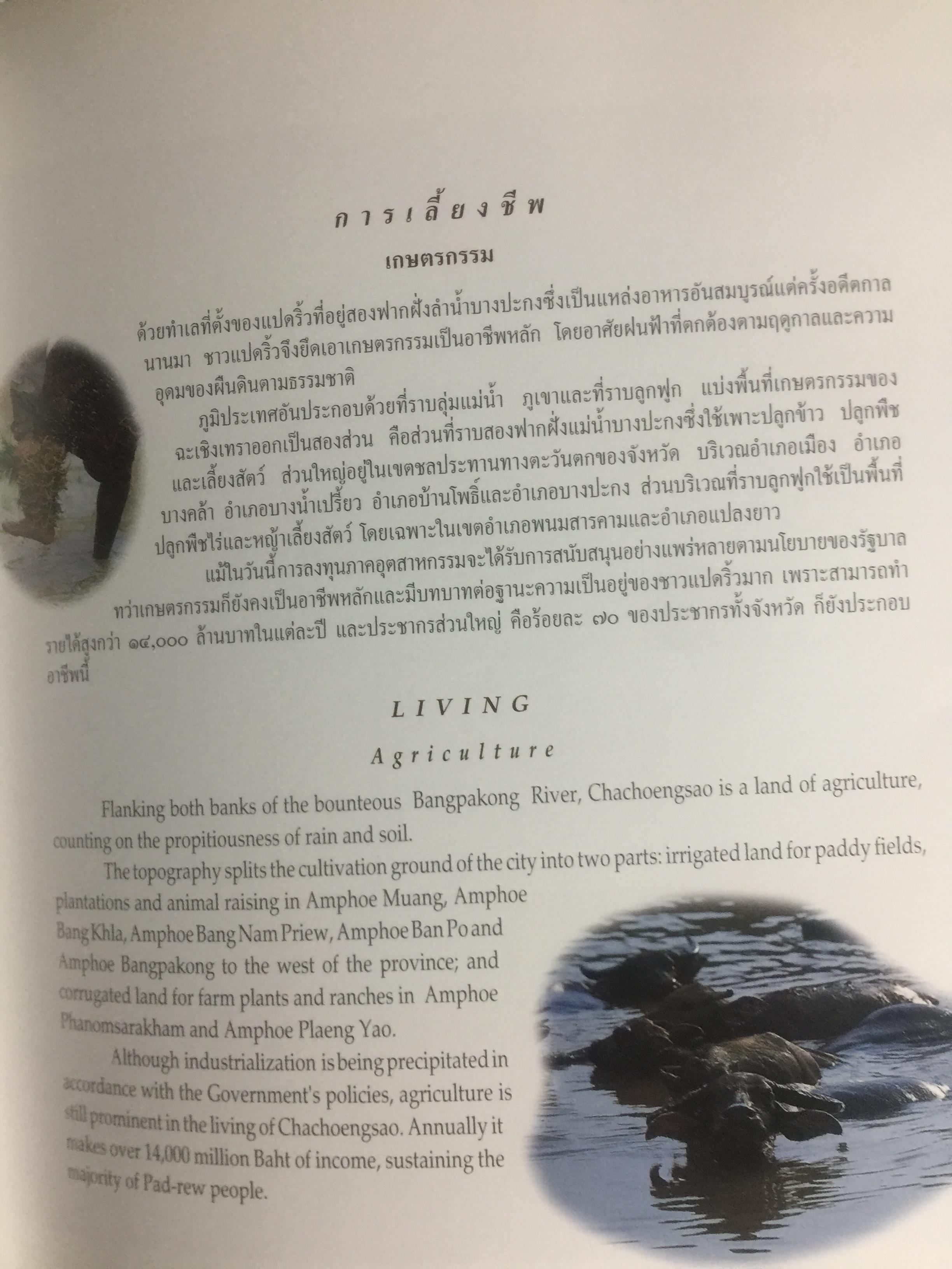 ฉะเชิงเทรา เมึองแห่งอนาคต Chachoengsao City Of Prospects 4,500 กรัม