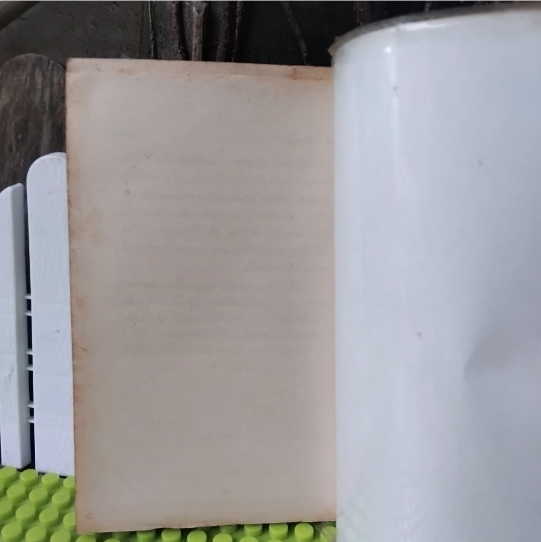 พลเมืองชั้นสอง Second Class Citizen โดย Buchi Emecheta(บูซี อีเมเซต้า)โอชินฉบับแอฟริกา สภาพสะสม