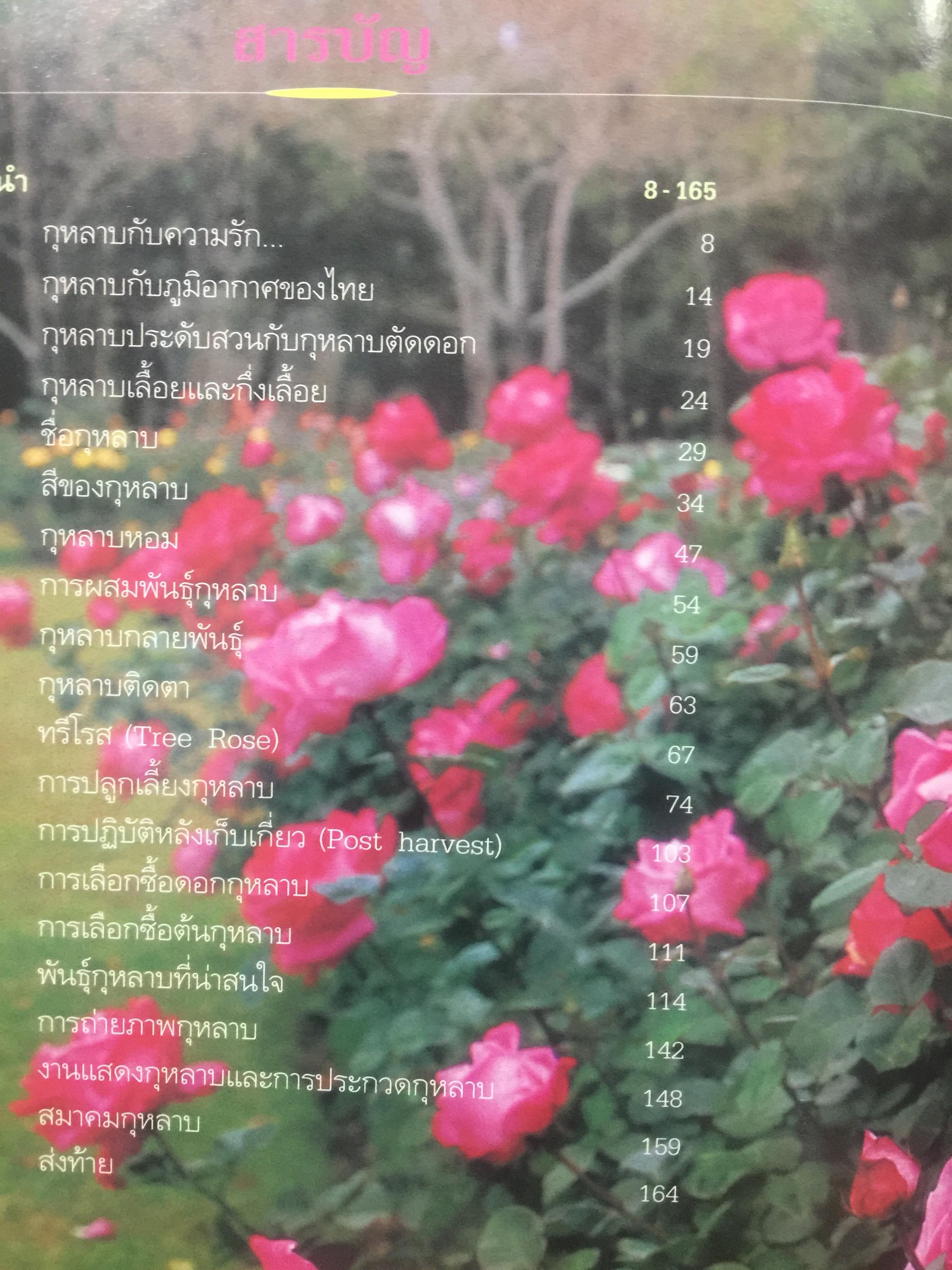 กุหลาบ. ผู้เขียน พจนา นาควัชระ 3 กก.