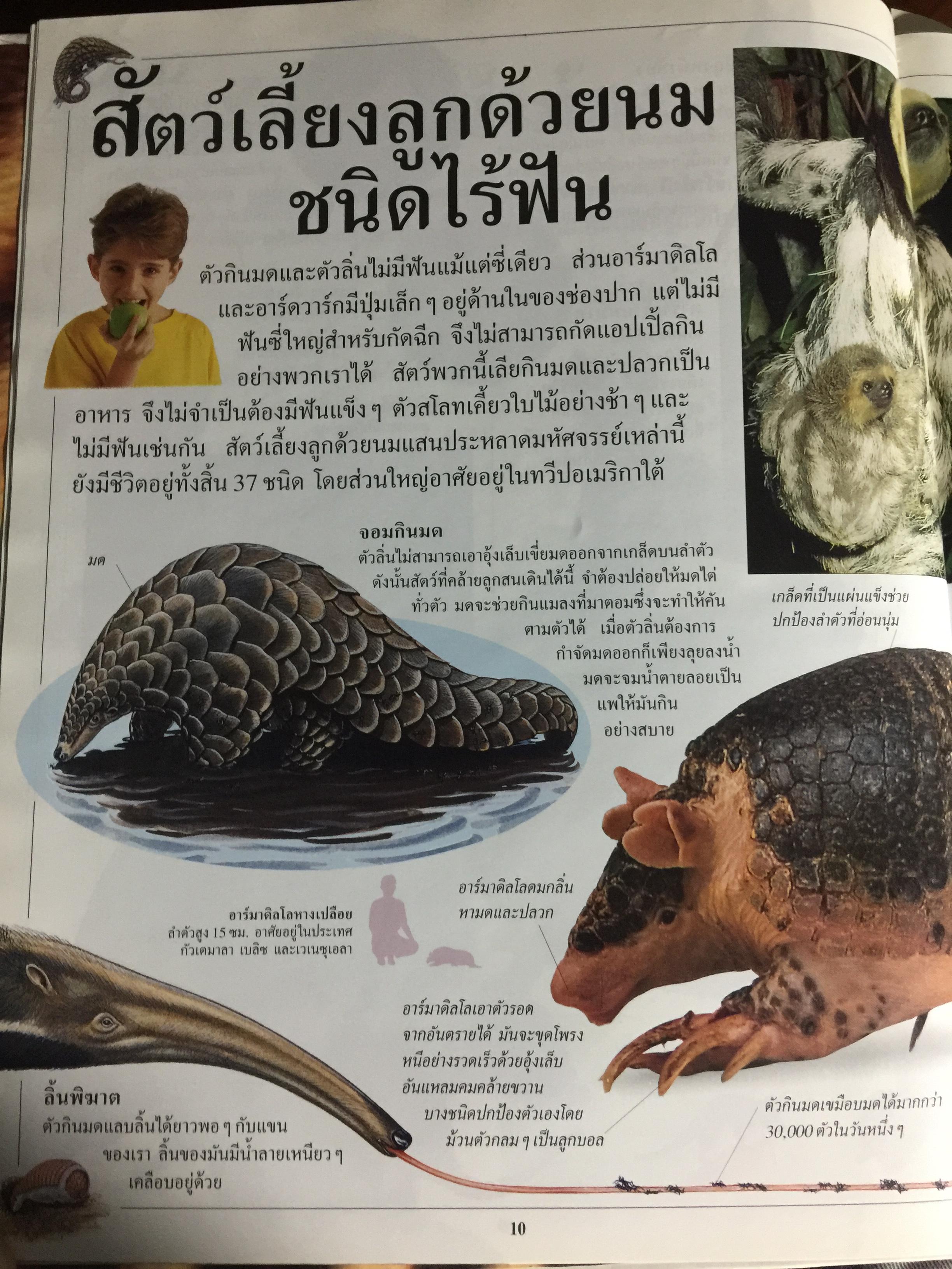สัตว์เลี้ยงลูกด้วยนม. หนังสือเด็กรักลูก ห้องสมุดแสนสนุก ค้นพบโลกแห่งความมหัศจรรย์ด้วยภาพตื่นตาเร้าใจพร้อมเรื่องน่ารู้ชวนติดตาม 0 กก.