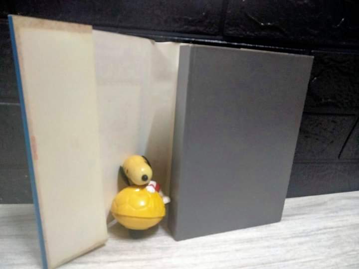 เพื่อนชายให้เช่า เล่มเดียวจบ