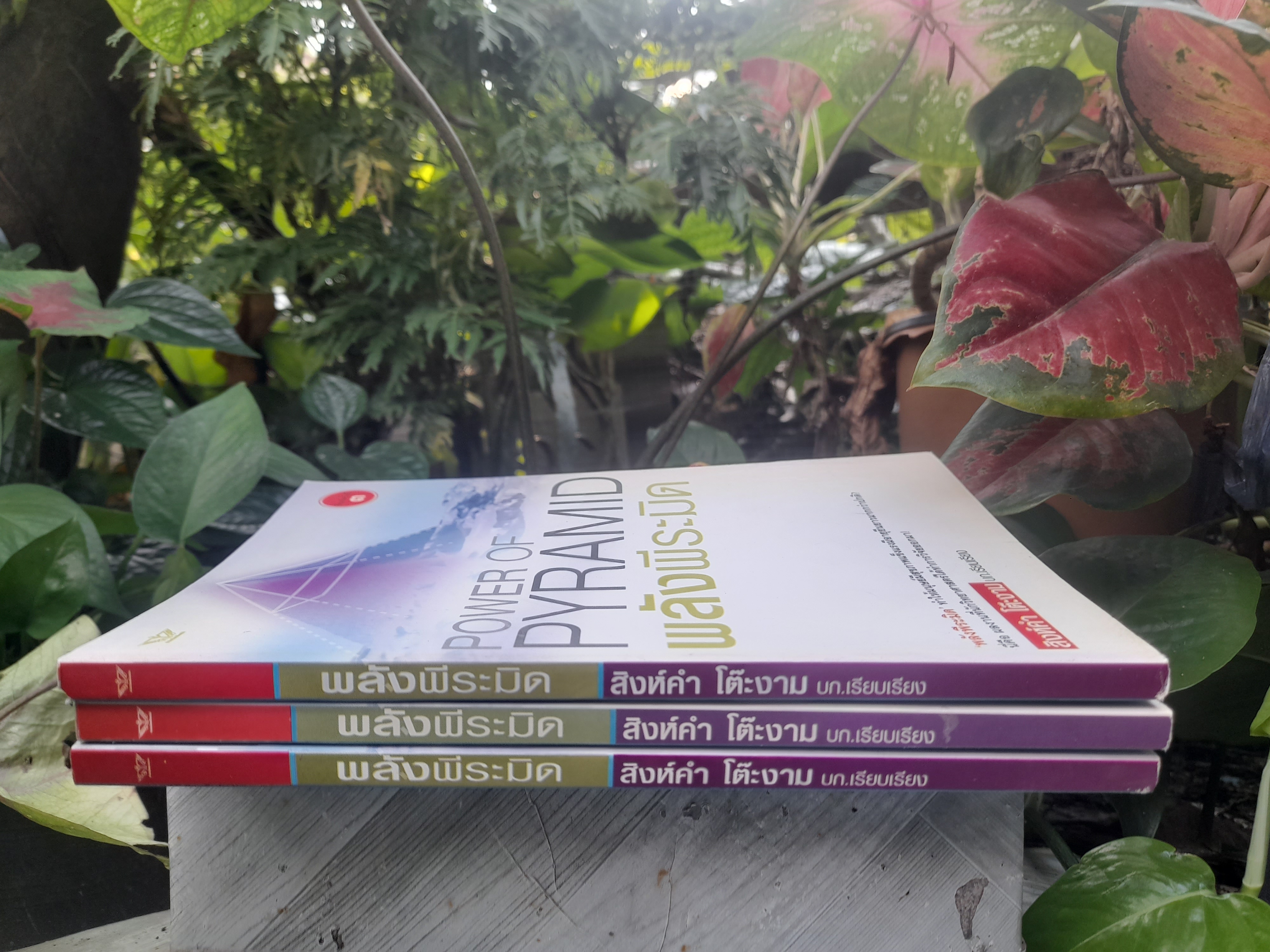 พลังพีระมิด Power of PYRAMID โดย สิงห์คำ โต๊ะงาม งานเขียนที่นักวิทยาศาสตร์ได้ทำวิจัยออกมา