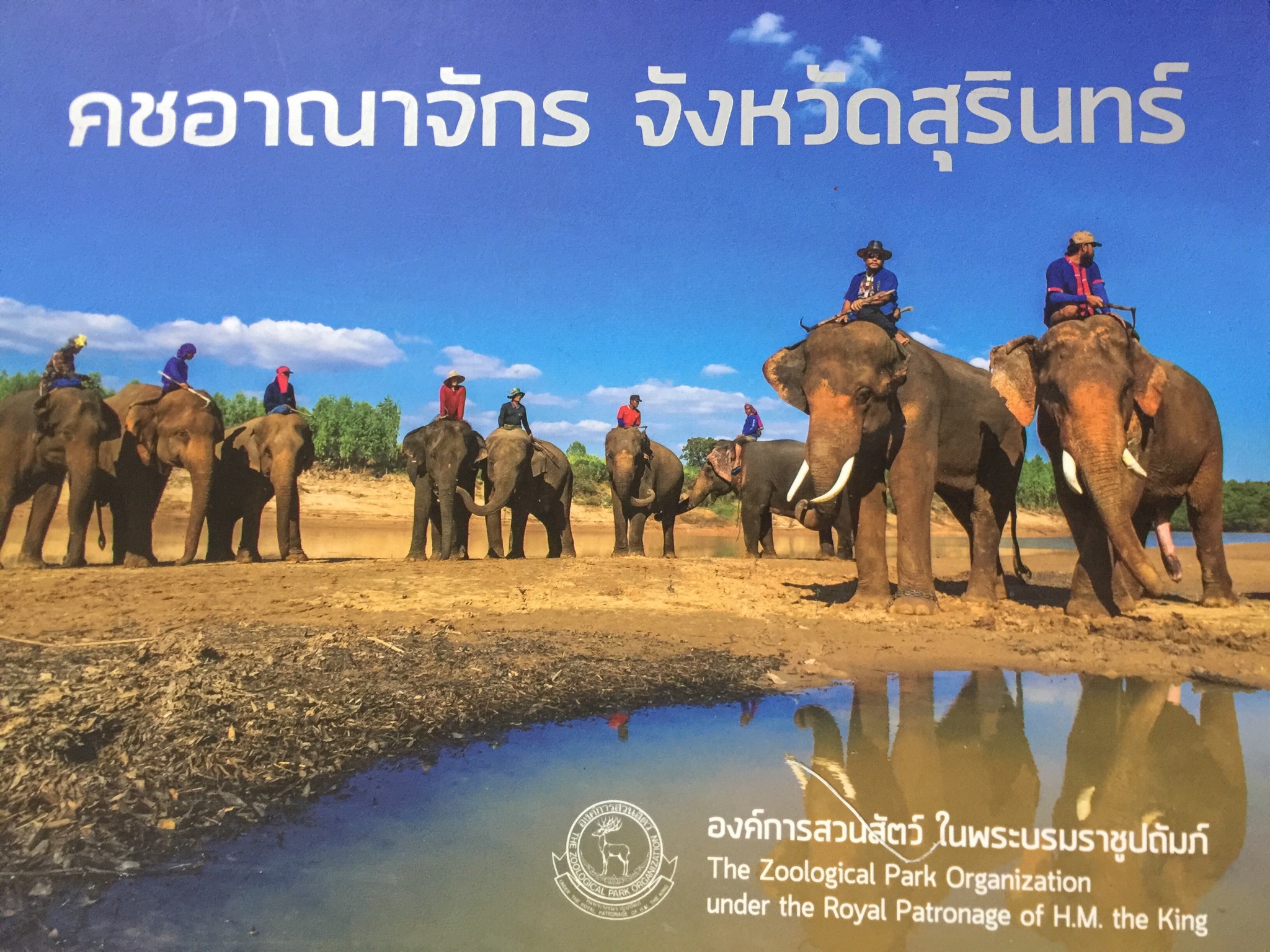 คชอาณาจักร จังหวัดสุรินทร์. จัดทำโดย องค์การสวนสัตว์ ในพระบรมราชูปถัมภ์ 0 กก.