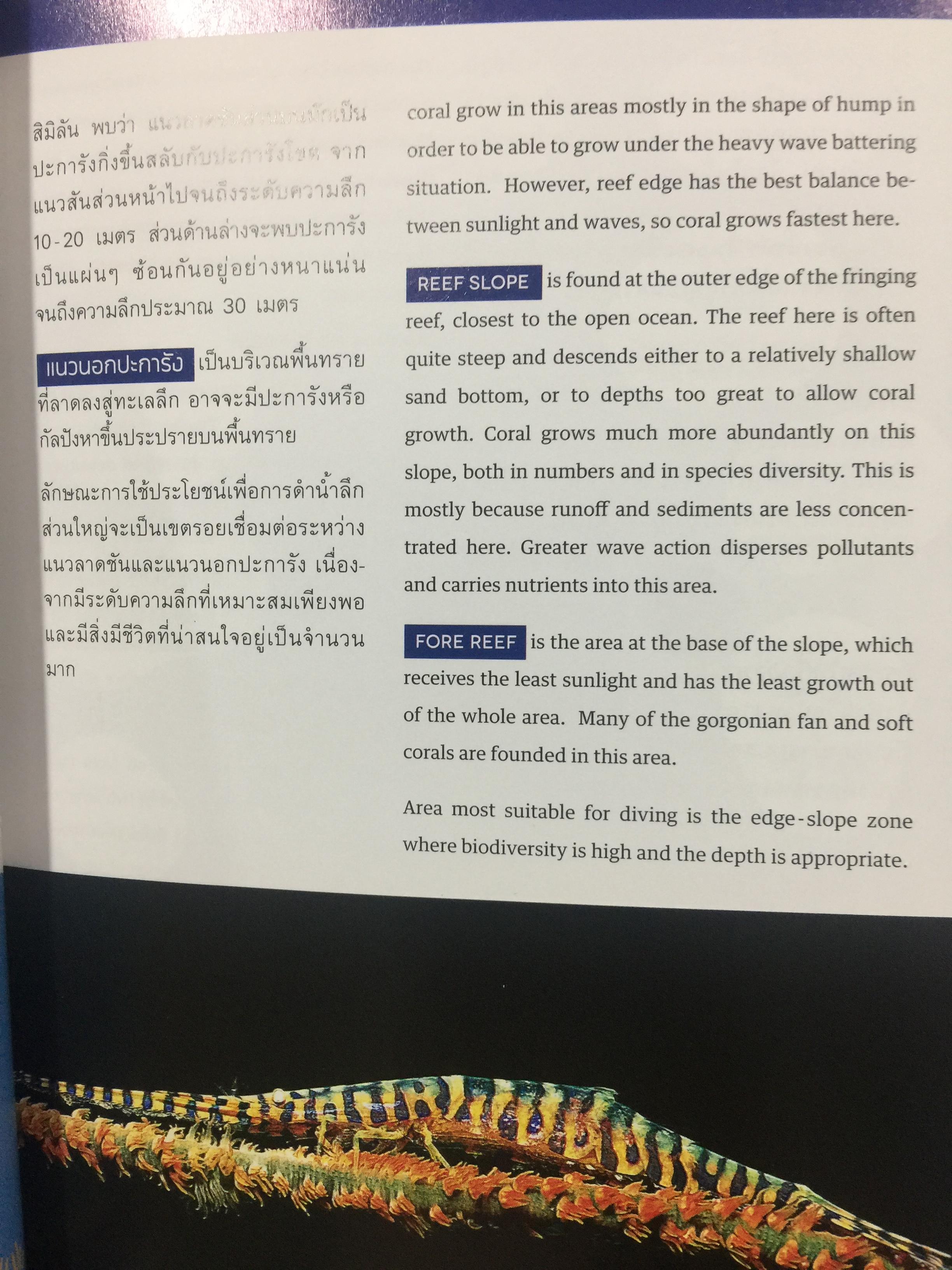 แหล่งดำน้ำที่สำคัญในประเทศไทย. DIVING ATTRACTIONS IN THAILAND 0 กก.