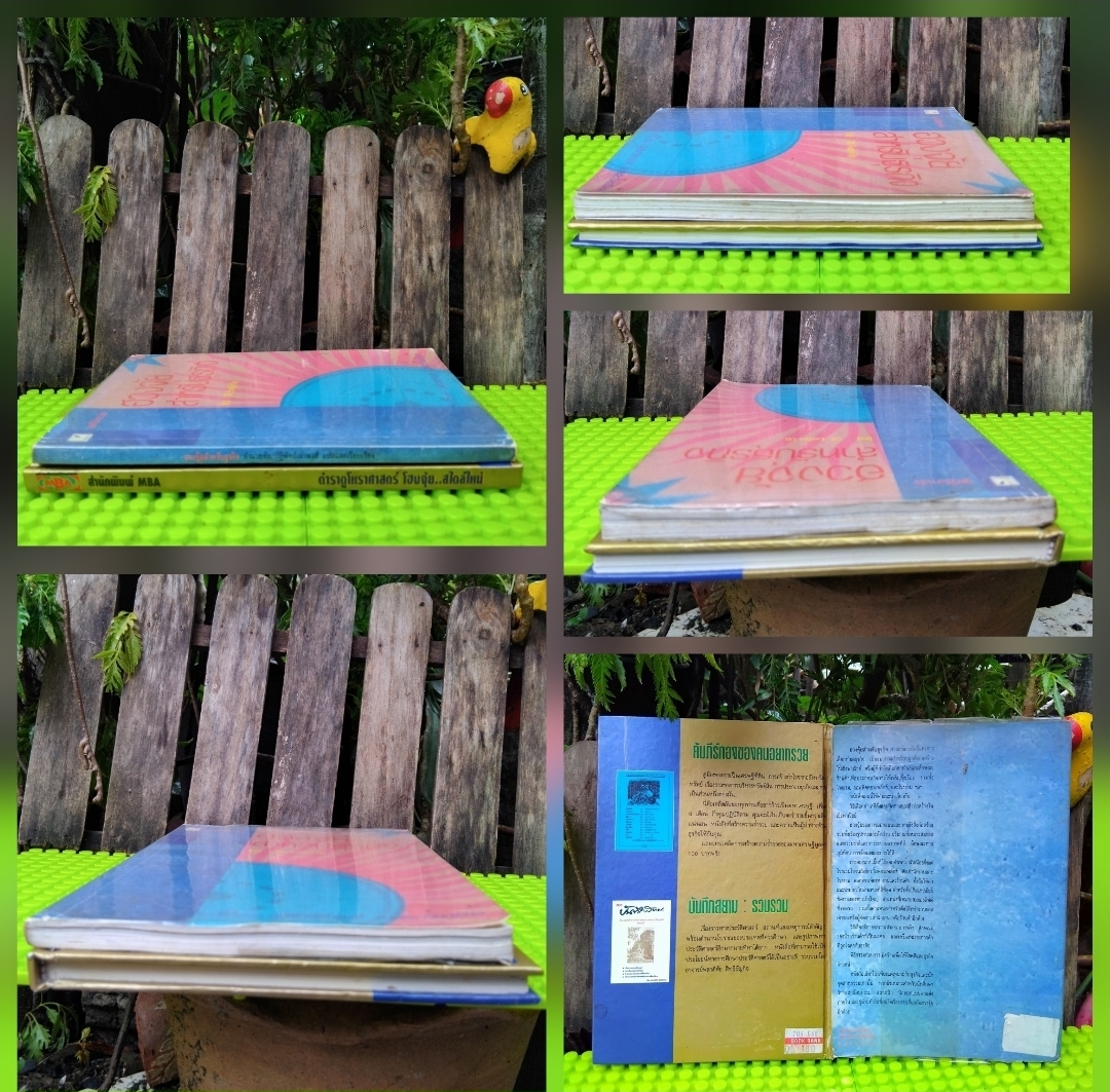 ฮวงจุ้ยสไตล์ใหม่ แปลโดย อ.เฉิน กับ ฮวงจุ้ยสำหรับธุรกิจ ของ DR. Evelyn Lip แปลโดย อำนวยชัย ปฏิพัทธ์เผ่าพงศ์