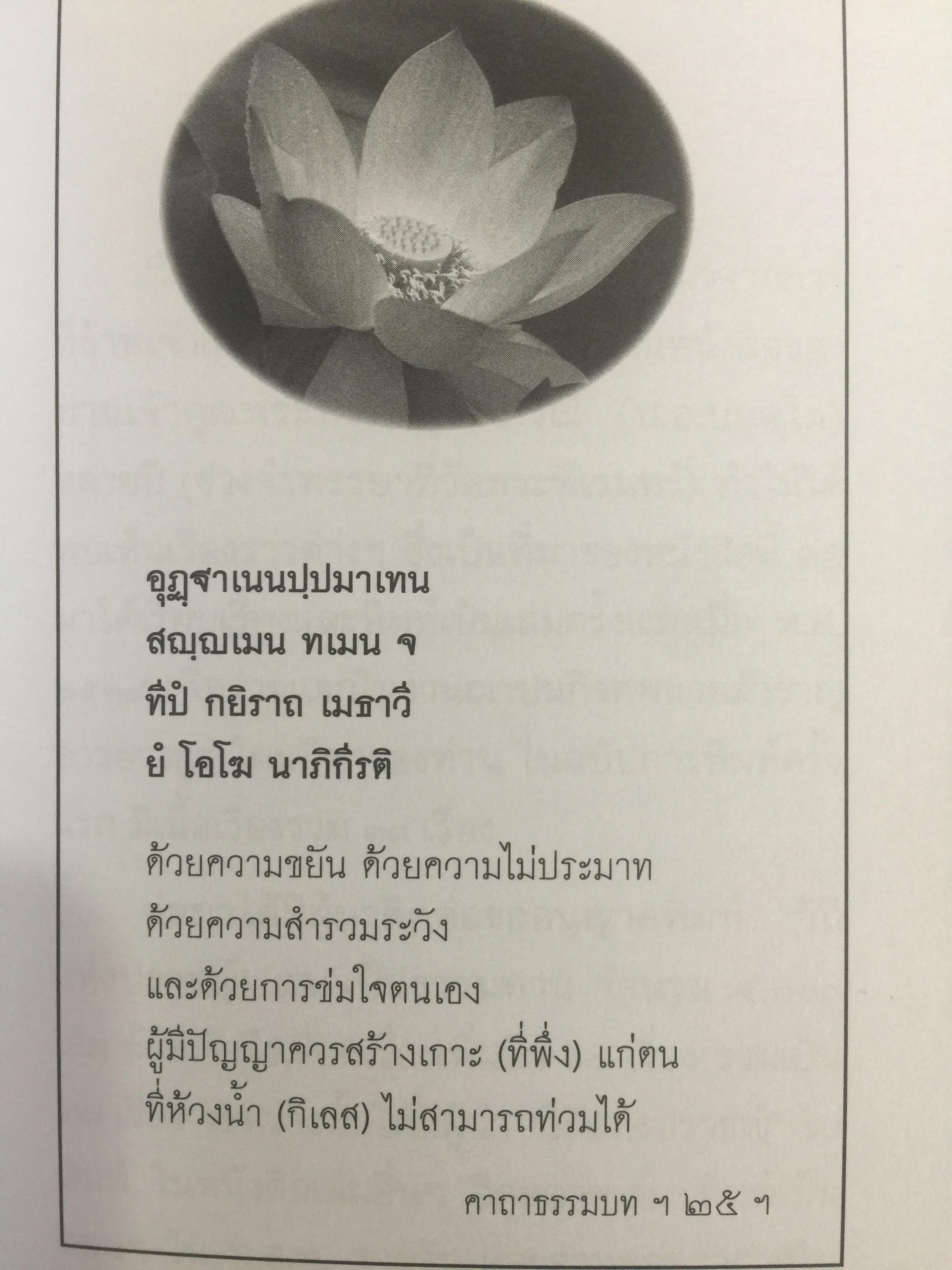 วิถีแห่งปราชญ์. ปฏิปทา จริยาวัตร ของพระพรหมคุณาภรณ์ (ป.อ.ปยุตฺโต) 0 กก.