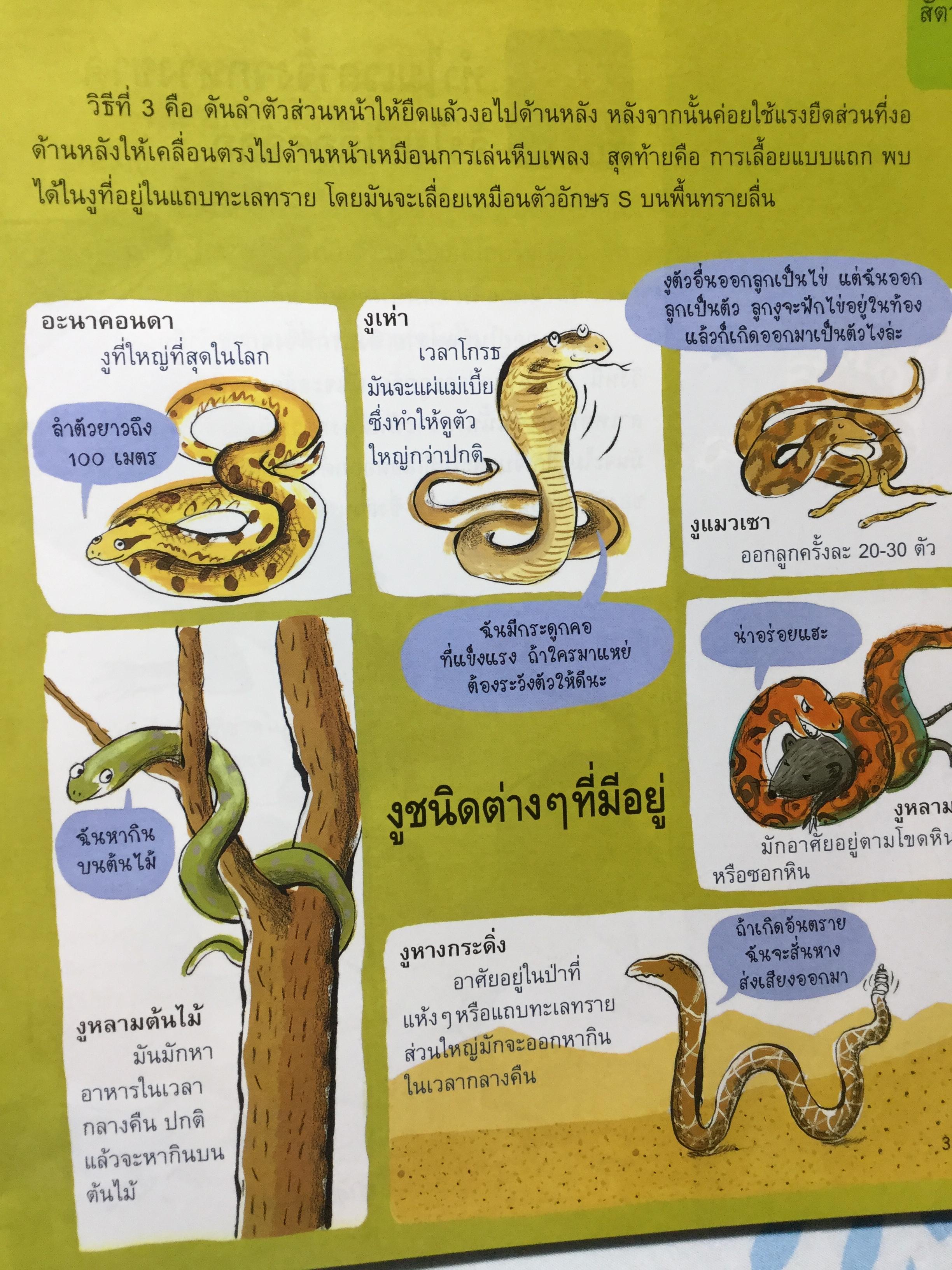 สารานุกรม ทำไม. เฉลยสารพันข้อสงสัยที่คาใจเด็กฯ 0 กก.