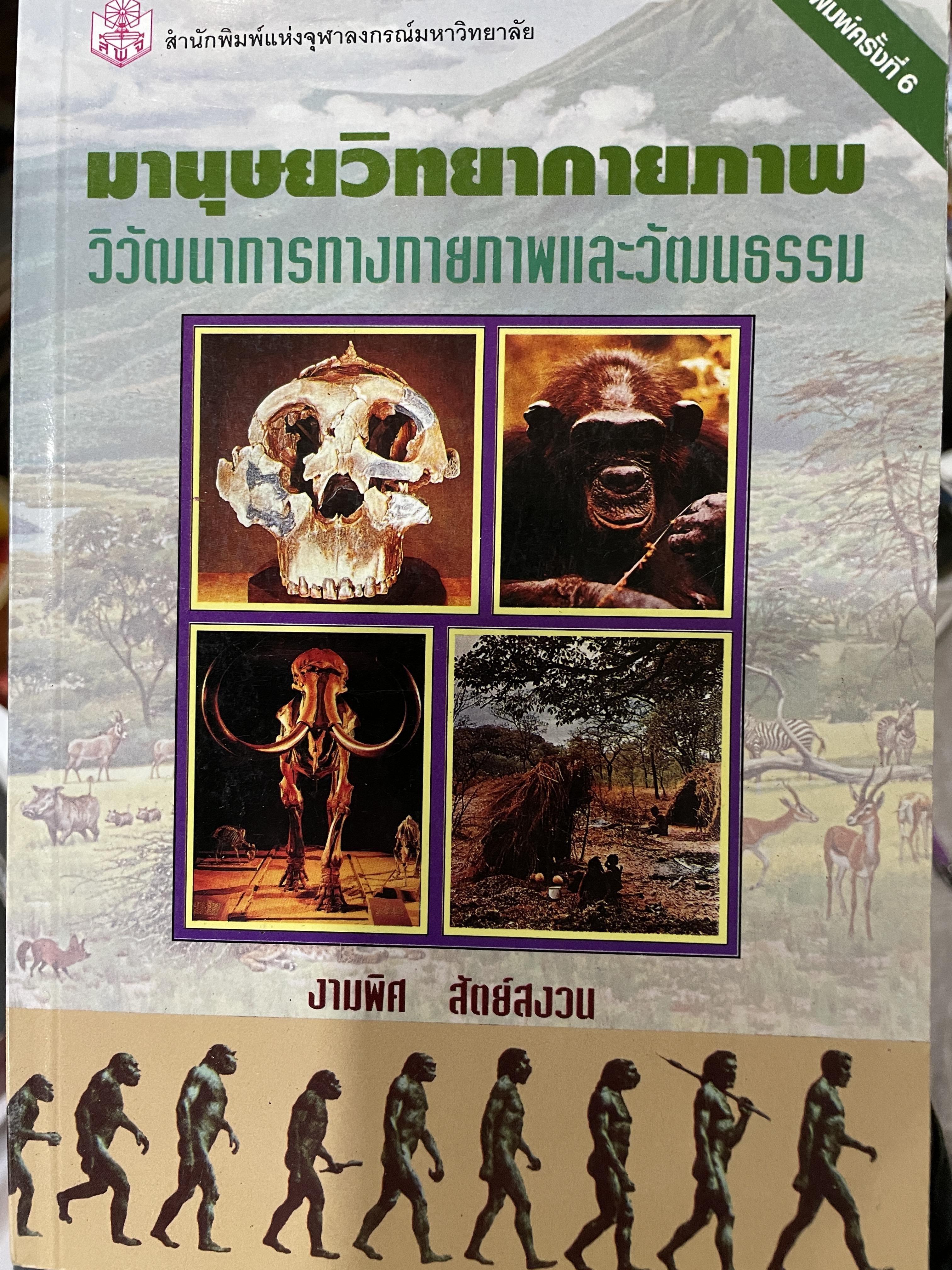 มานุษยวิทยากายภาพ วิวัฒนาการทางกายภาพและวัฒนธรรม ผู้เขียน งามพิศ สัตย์สงวน 2,009 กรัม
