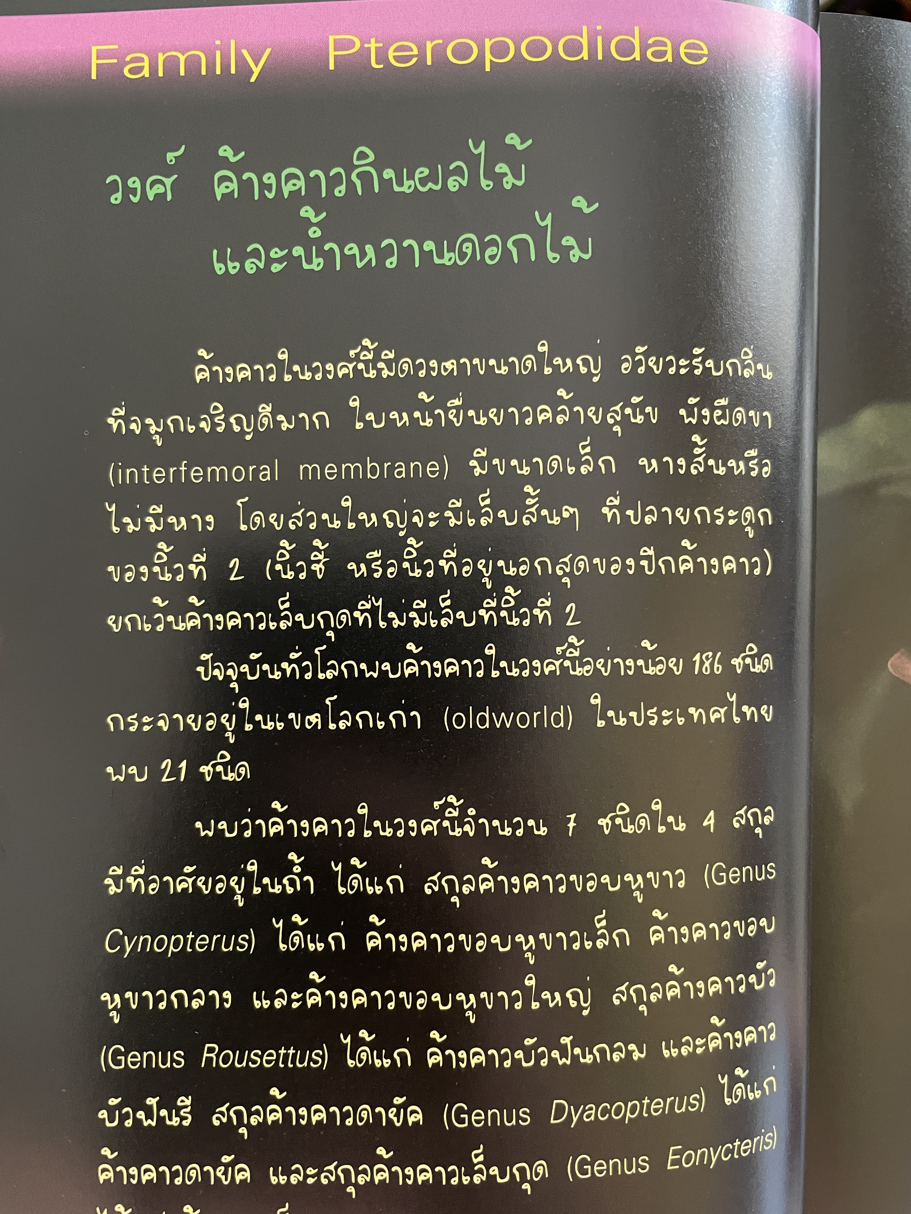ค้างคาว ในถ้ำของเมืองไทย Cave-Dwelling Bats of. Thailand. จัดทำโดย กลุ่มงานวิจัยสัตว์ป่า สำนักอนุรักษ์สัตว์ป่า กรมอุทยานแห่งชาติ สัตว์ป่า และพันธุ์พืช 1,500 กรัม