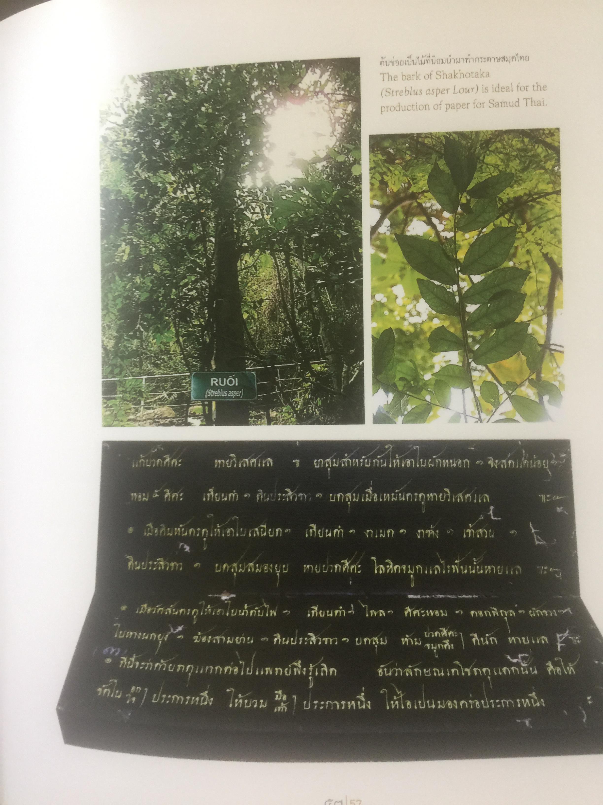 วิวัฒน์การอ่านไทย. Communicating with the Thai Alphabet from the Years Past to the Present 0 กก.