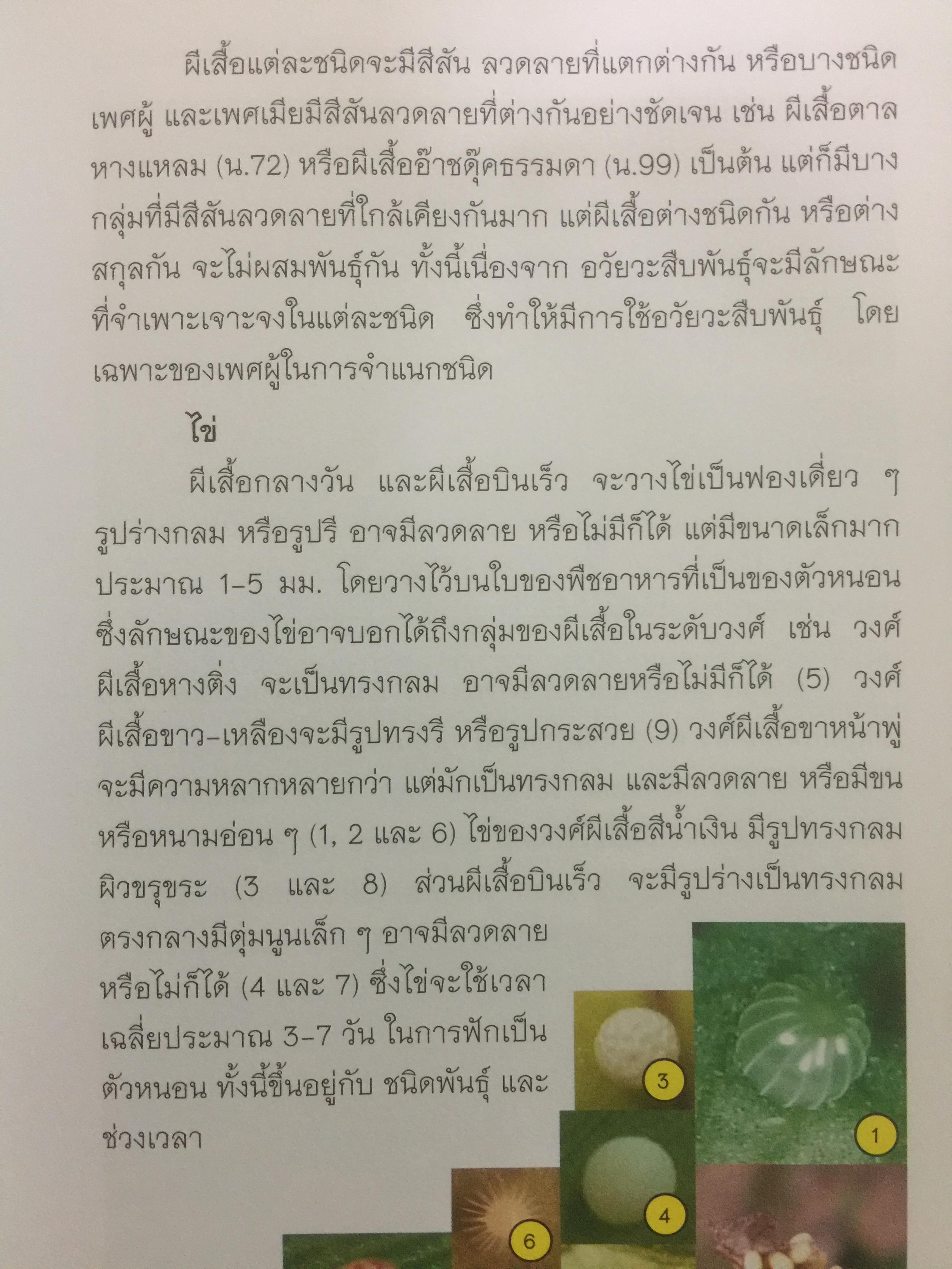 คู่มือผีเสื้อ. จัดทำโดย สำนักวิจัยการอนุรักษ์ป่าไม้และพันธุ์พืช กรมอุทยานแห่งชาติ สัตว์ป่า และพันธุ์พืช 0 กก.