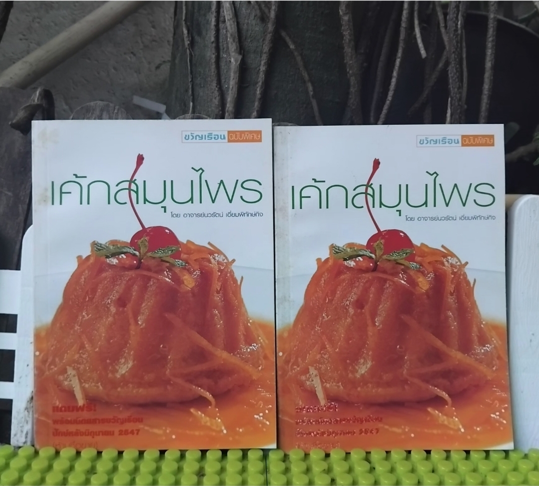 เค้กสมุนไพร โดย อ.นวรัตน์ เอี่ยมพิทักษ์กิจ จัดทำโดย ขวัญเรือนฉบับพิเศษ มือ1 ภาพสี