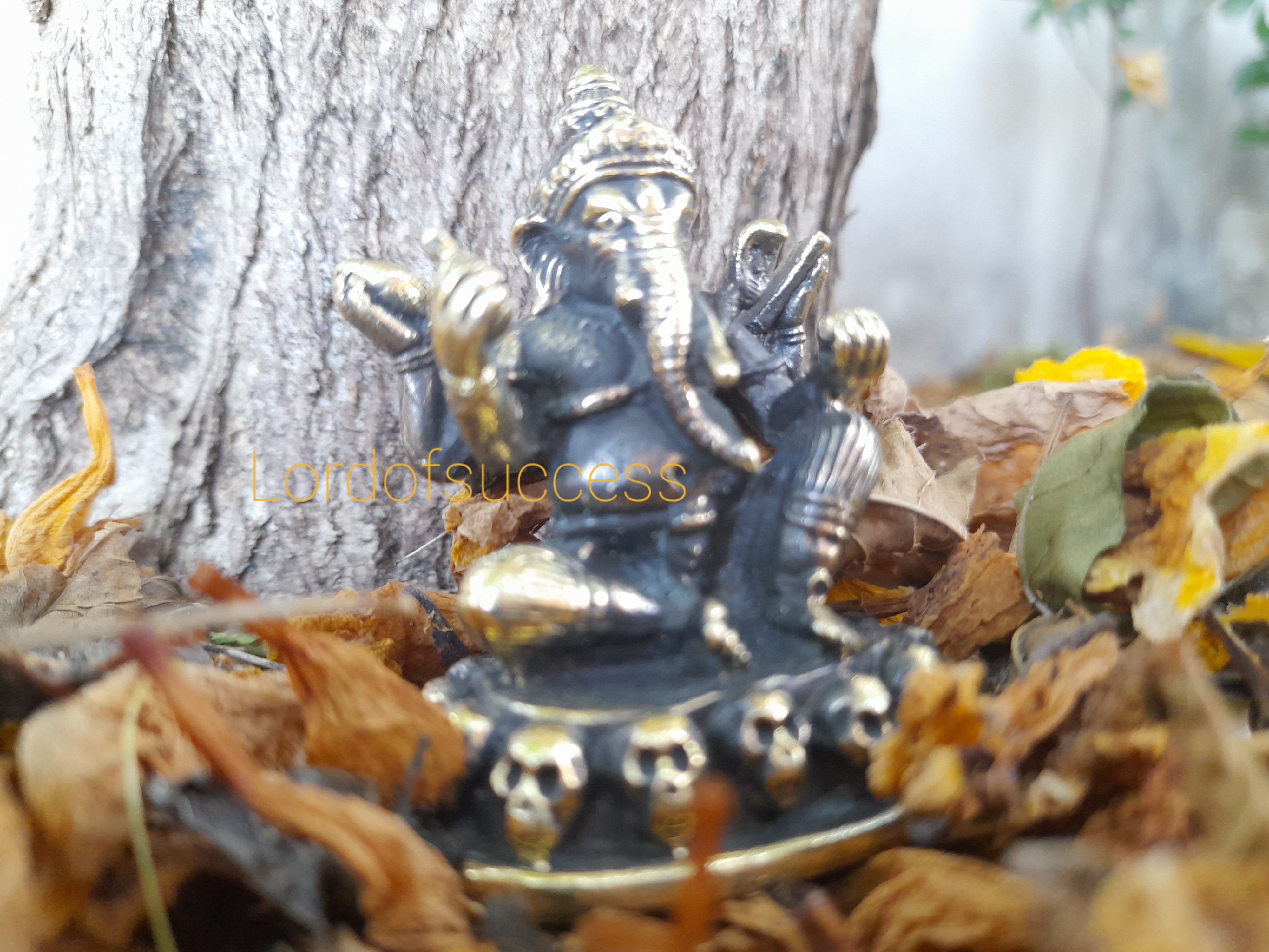 พระพิฆเนศทองเหลือง ประทับบนหัวกระโหลก อำนาจเหนือภูติ ผี ปีศาจ