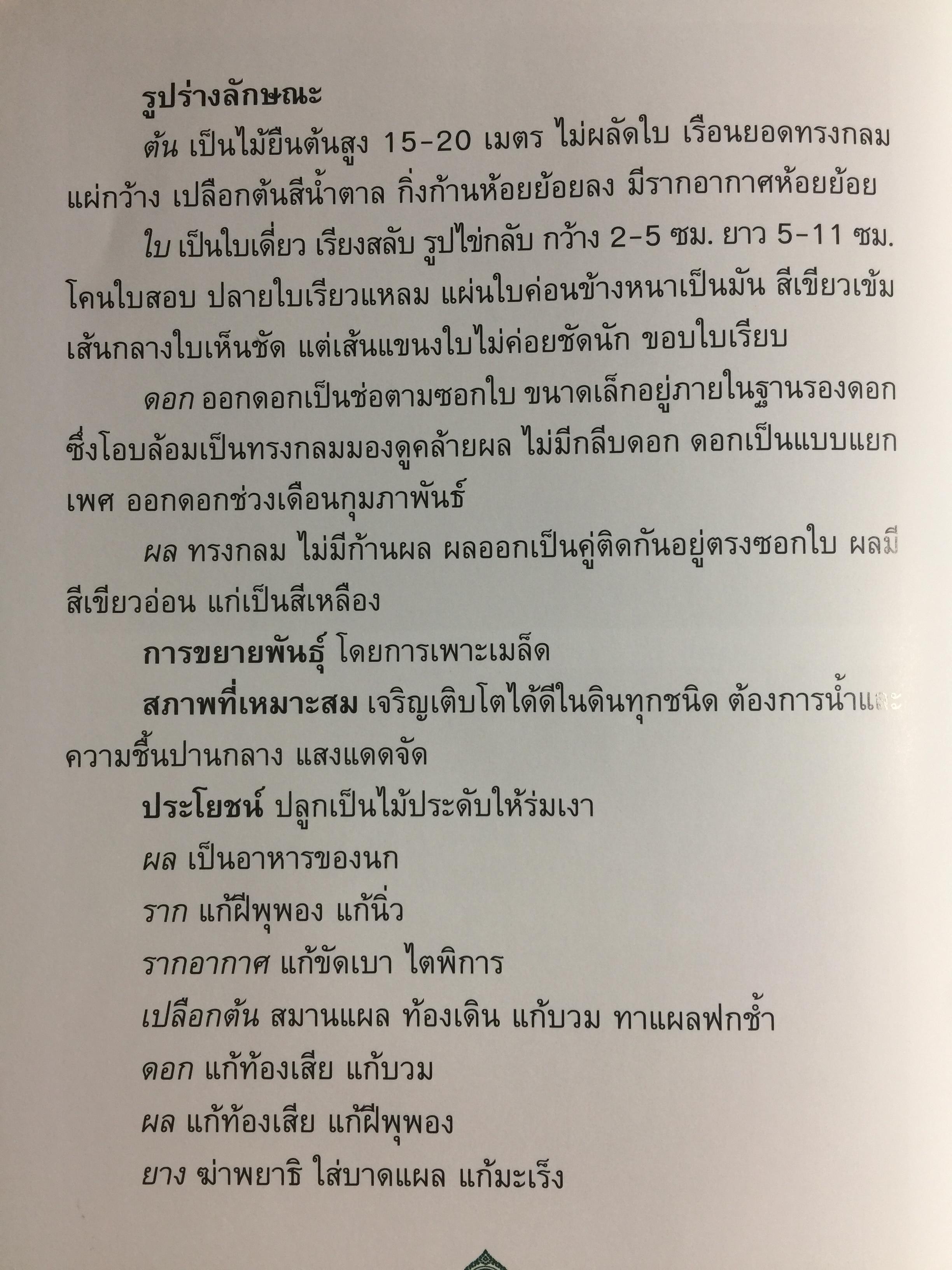 ยาสูบไทย หัวใจสีเขียว. พรรณไม้มงคลประจำจังหวัด สวนป่าเบญจกิติ 0 กก.