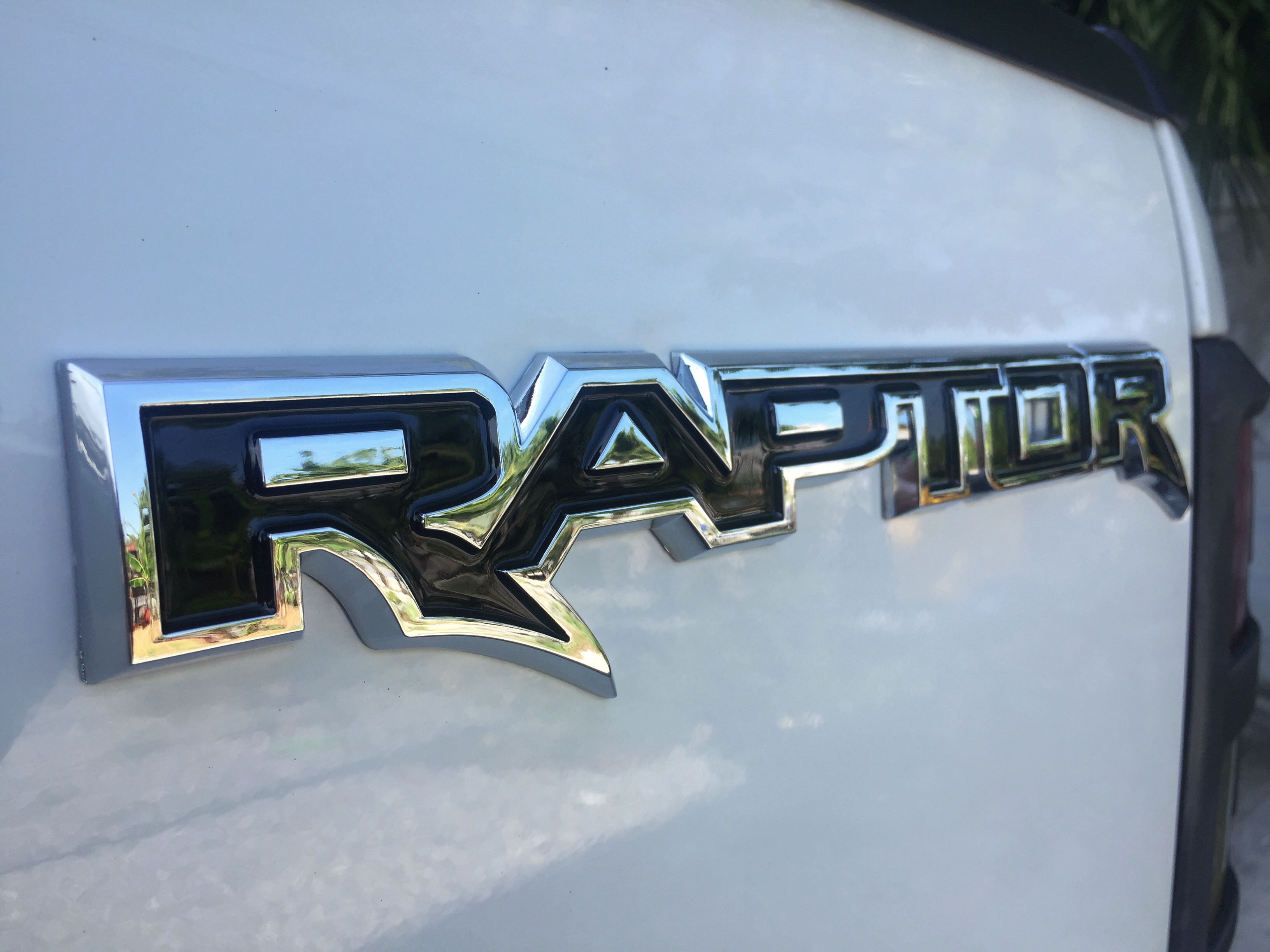 ตัวนูน Raptor