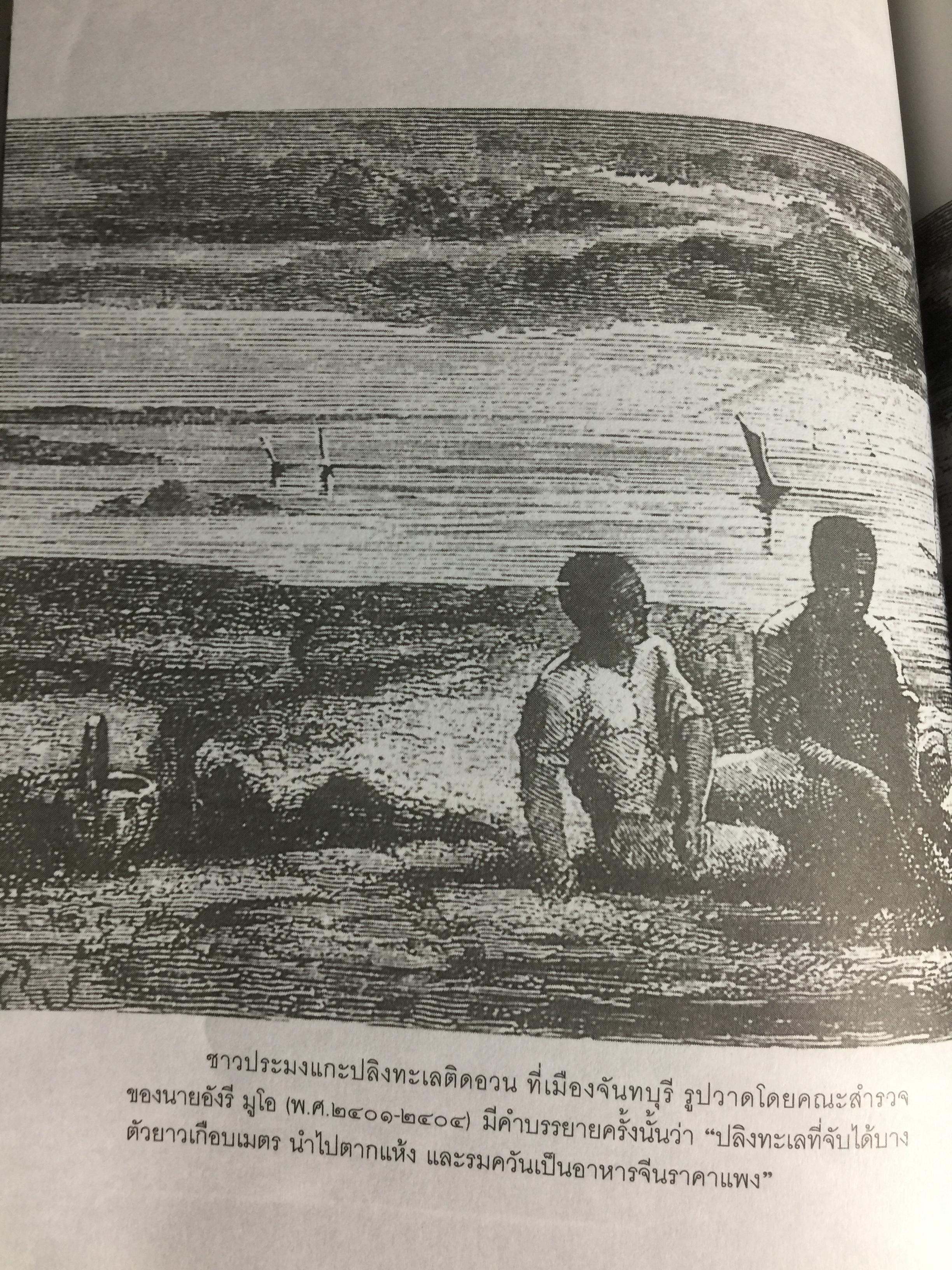 อารยธรรมฝั่งทะเลตะวันออก. ผู้เขียน ศรีศักร วัลลิโภดม. เป็นหนังสือศิลปวัฒนธรรมฉบับพิเศษ 0 กก.