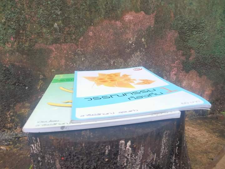 วรรณกรรมท้องถิ่น เล่ม 1-2