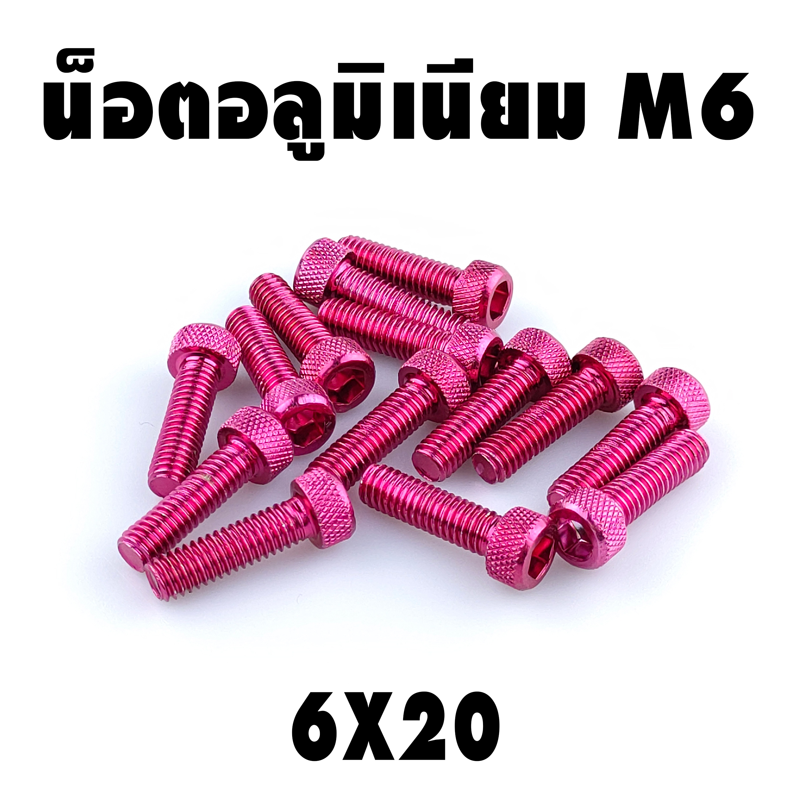 น็อตแต่ง อลูมิเนียม 6*20 (เบอร์ 10) ชุดละ 10 ตัว ราคา 100 บาท