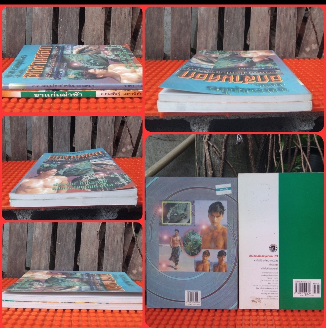 อาหารสมุนไพรสำหรับชายอกสามศอก โดย ภาณุทรรศน์ กับ สมุนไพรภาคอีสานยาแก่เฒ่าช้า โดย ธนพัฒน์ เมธาพิทักษ์