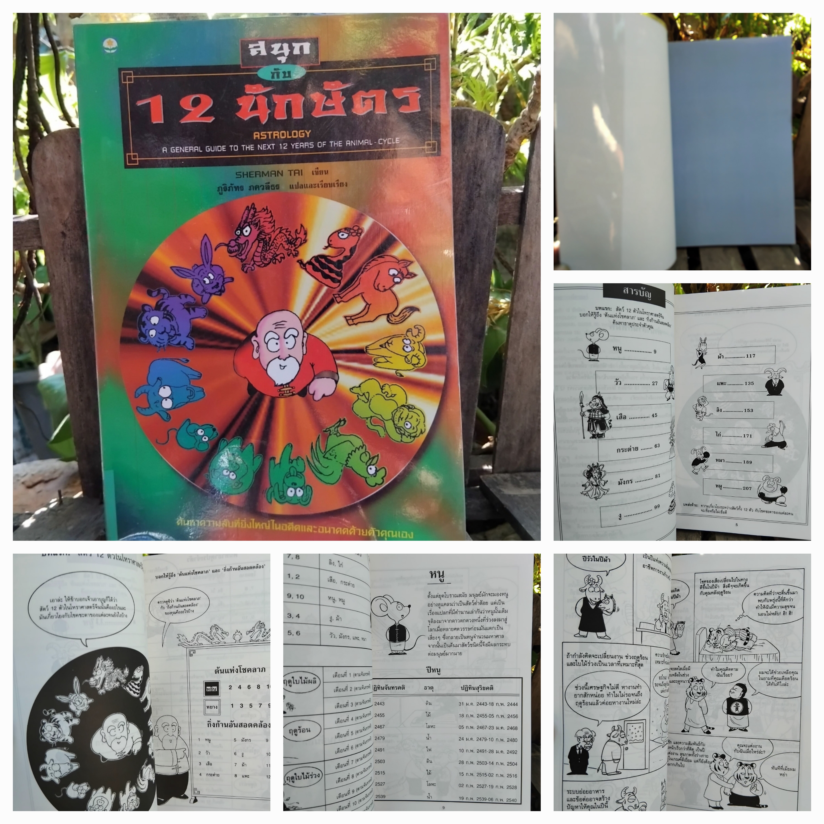 หนังสือพยากรณ์ 3 เล่มครับ เคหะ, ลายมือ และนิสัยตามปีเกิด สภาพสะสมครับ