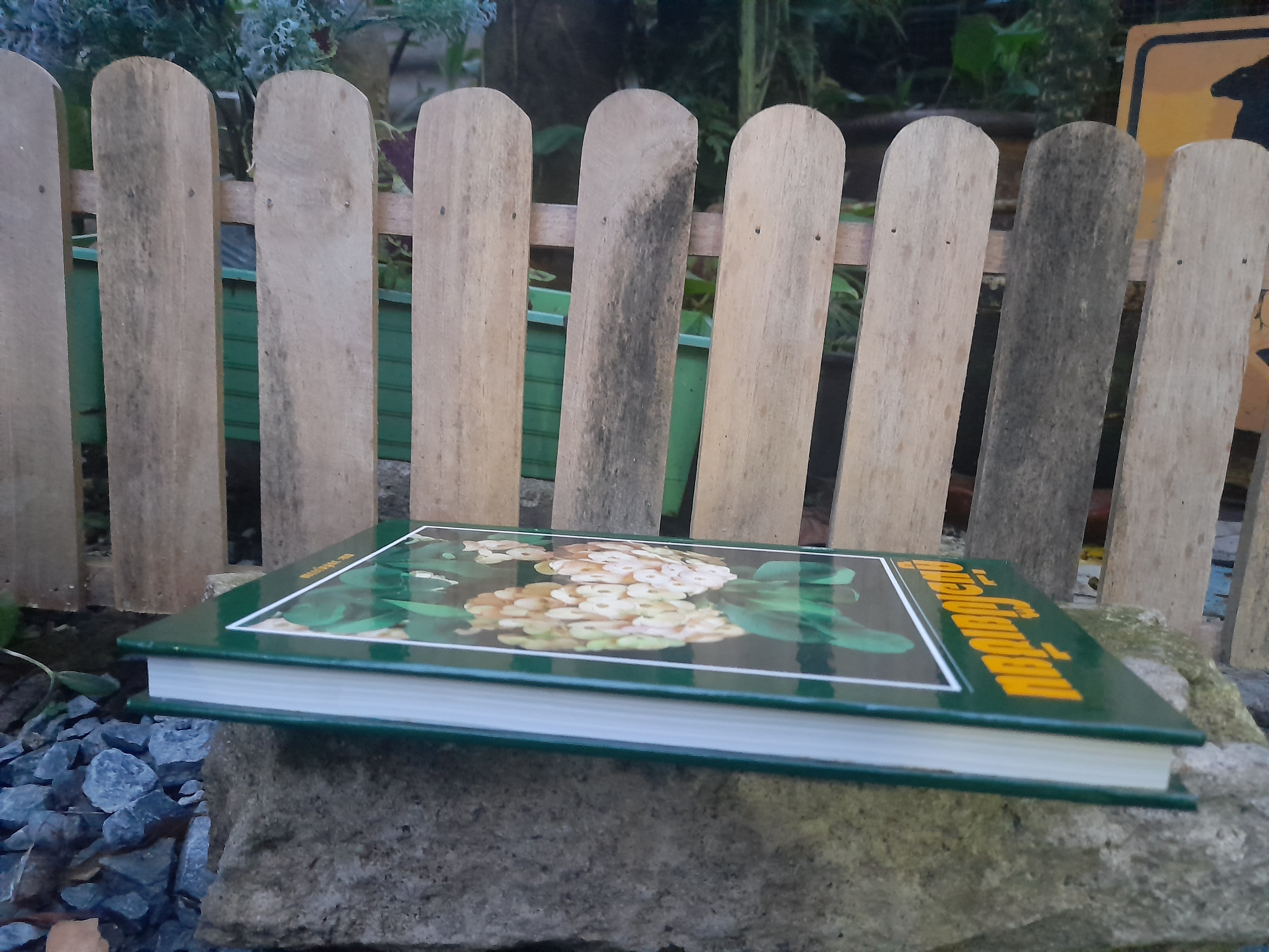 คู่มือโป๊ยเซียน EUPHORBIACEAE โดย : ชนะ วงศ์สุวรรณ