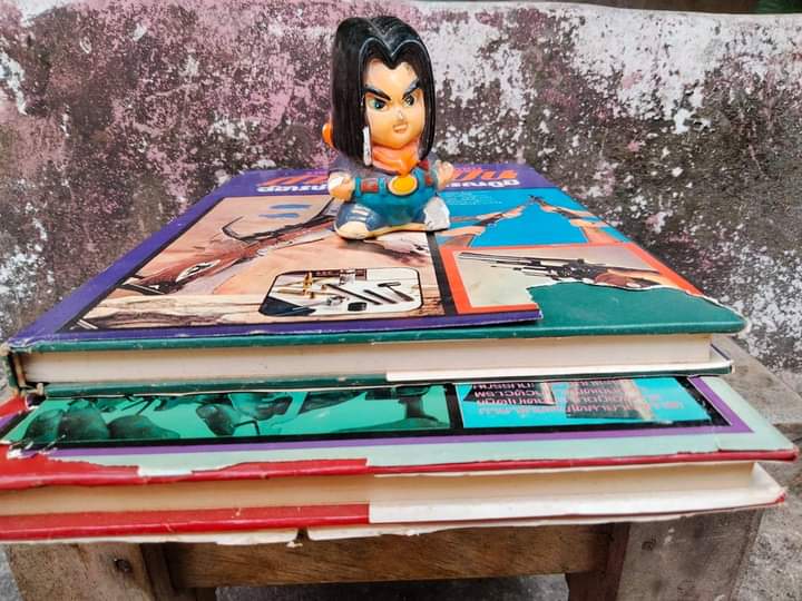 รายงานการทดสอบด้วยภาพ สารพัดปืน เล่ม 1-2