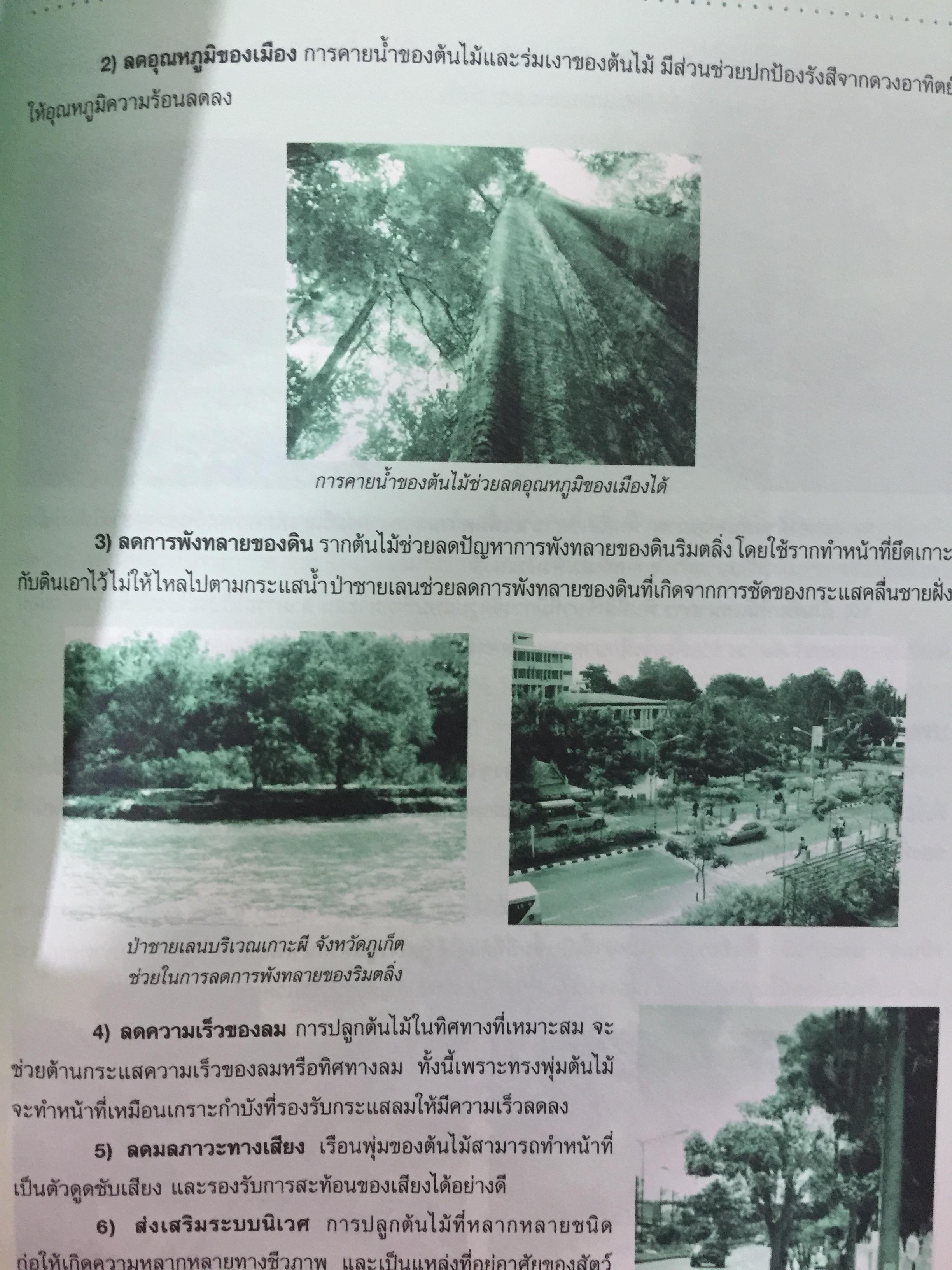คู่มือการจัดทำ ฐานข้อมูลสิ่งแวดล้อมในสถานศึกษา 1)พื้นที่สีเขียว 2) การจัดการขยะมูลฝอย 3) น้ำเพื่อการอุปโภค-บริโภค. 4)การจัดการน้ำเสีย. 5) พลังงาน และการอนุรักษ์พลังงาน 6)ใบกิจกรรม 0 กก.