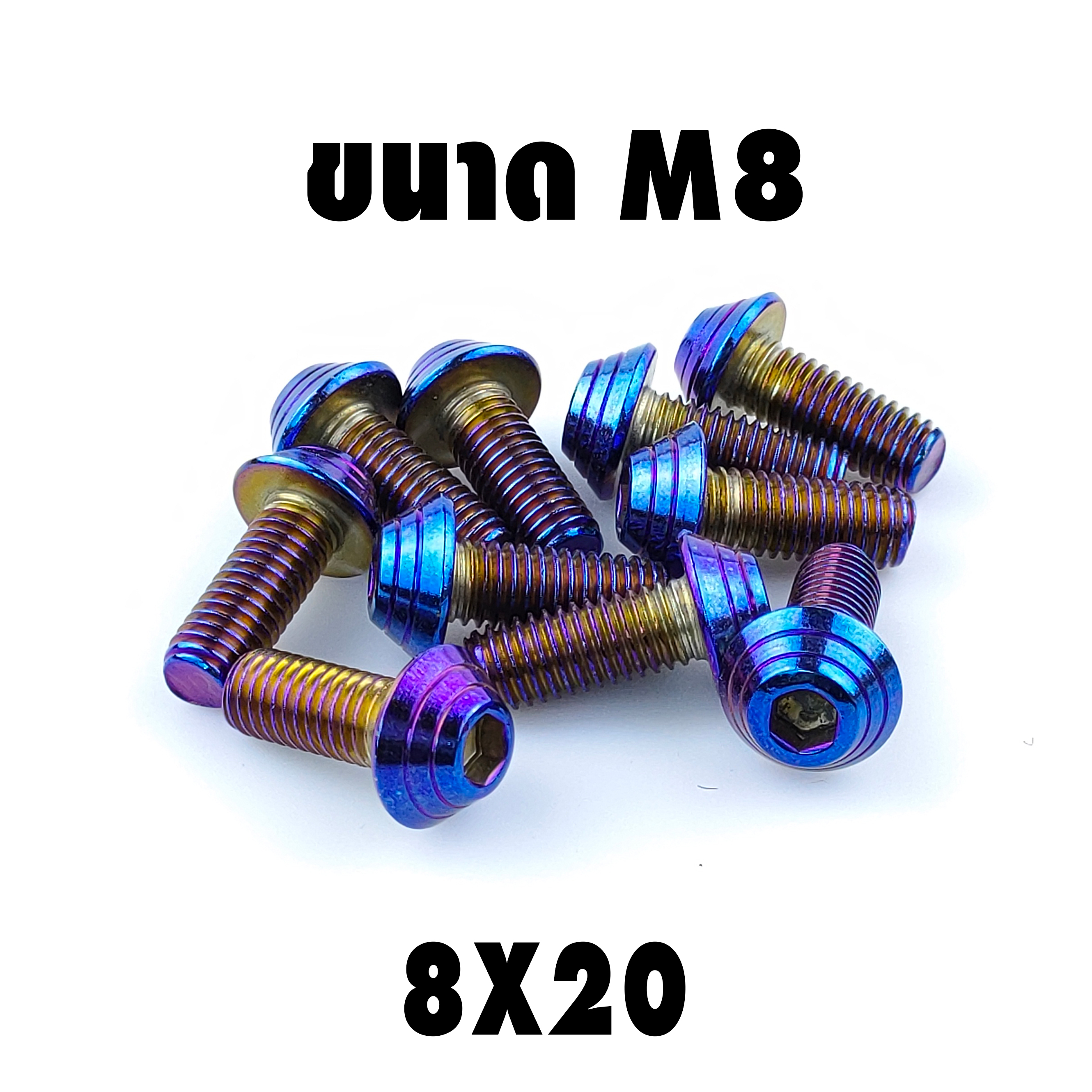 น็อตแต่งก้นหอย (เบอร์12 M8X20)