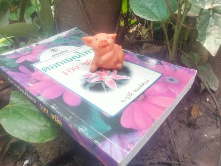 ตำราดอกสมุนไพร 109 ชนิด สรรพคุณเยี่ยม