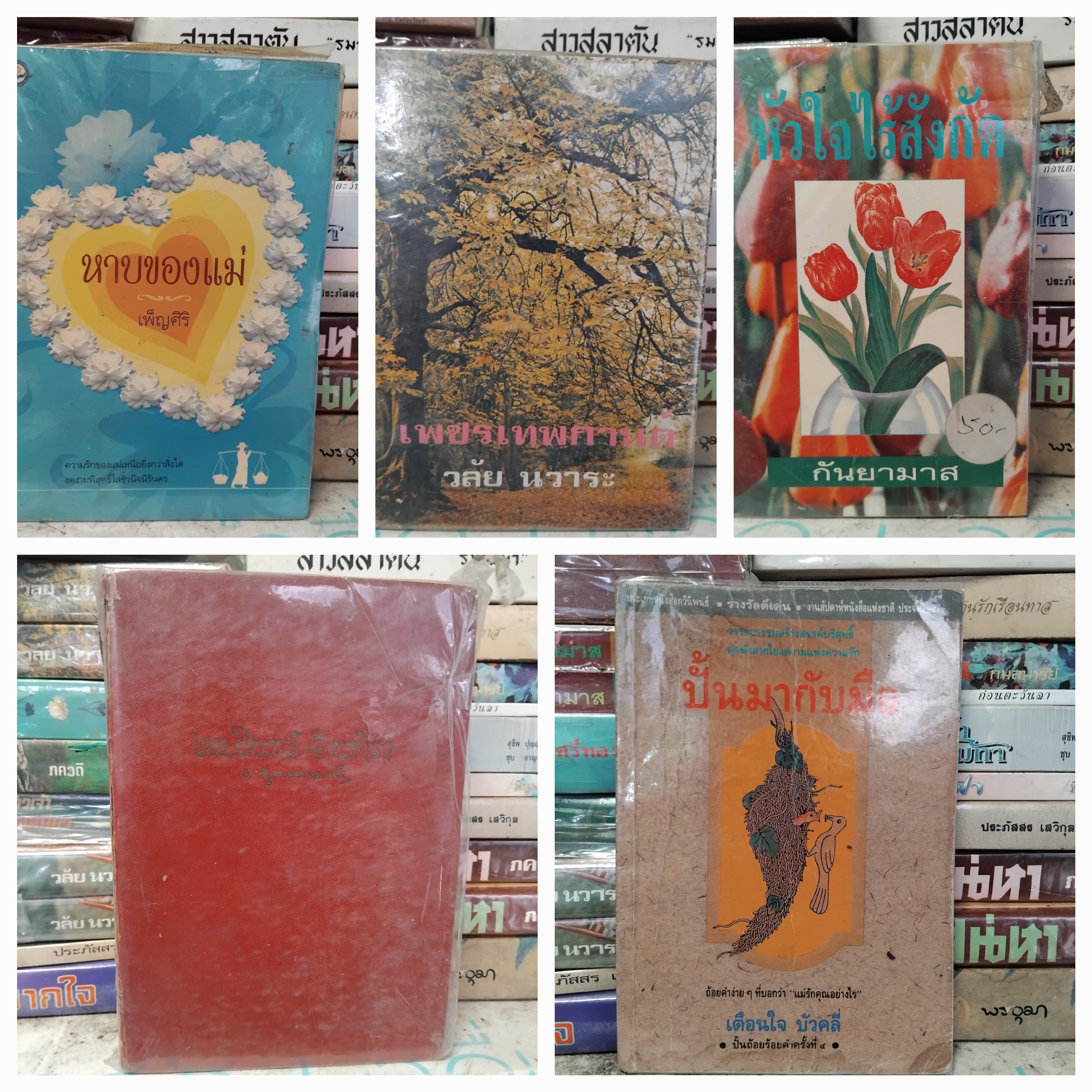รวมนวนิยายไทย นิยายไทย หลากนักเขียน หลากอารมณ์ ทั้งเก่าและใหม่