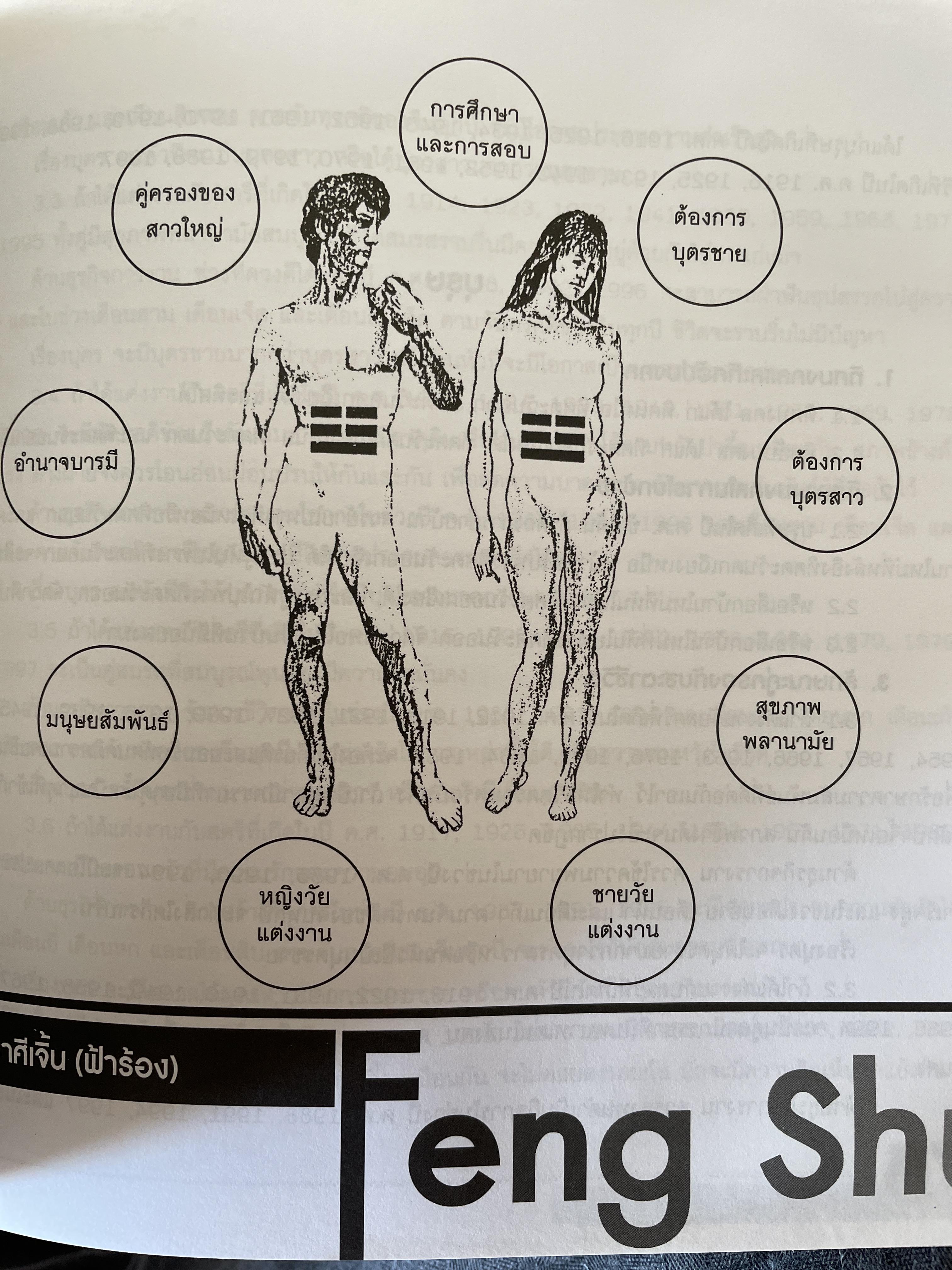 ฮวงจุ้ย ฉบับสมบูรณ์ ศาสตร์แห่งความสำเร็จ การออกแบบฮวงจุ้ยบ้าน เพื่อความสำเร็จในชีวิต CHINESE GEOMANCY. พลิกโชคชะตาให้ดีขึ้นจากคู่มือที่สามารถทำได้ด้วยตนเอง ผู้เขียน หลี่เหยินซุยและคณะ 1,800 กรัม