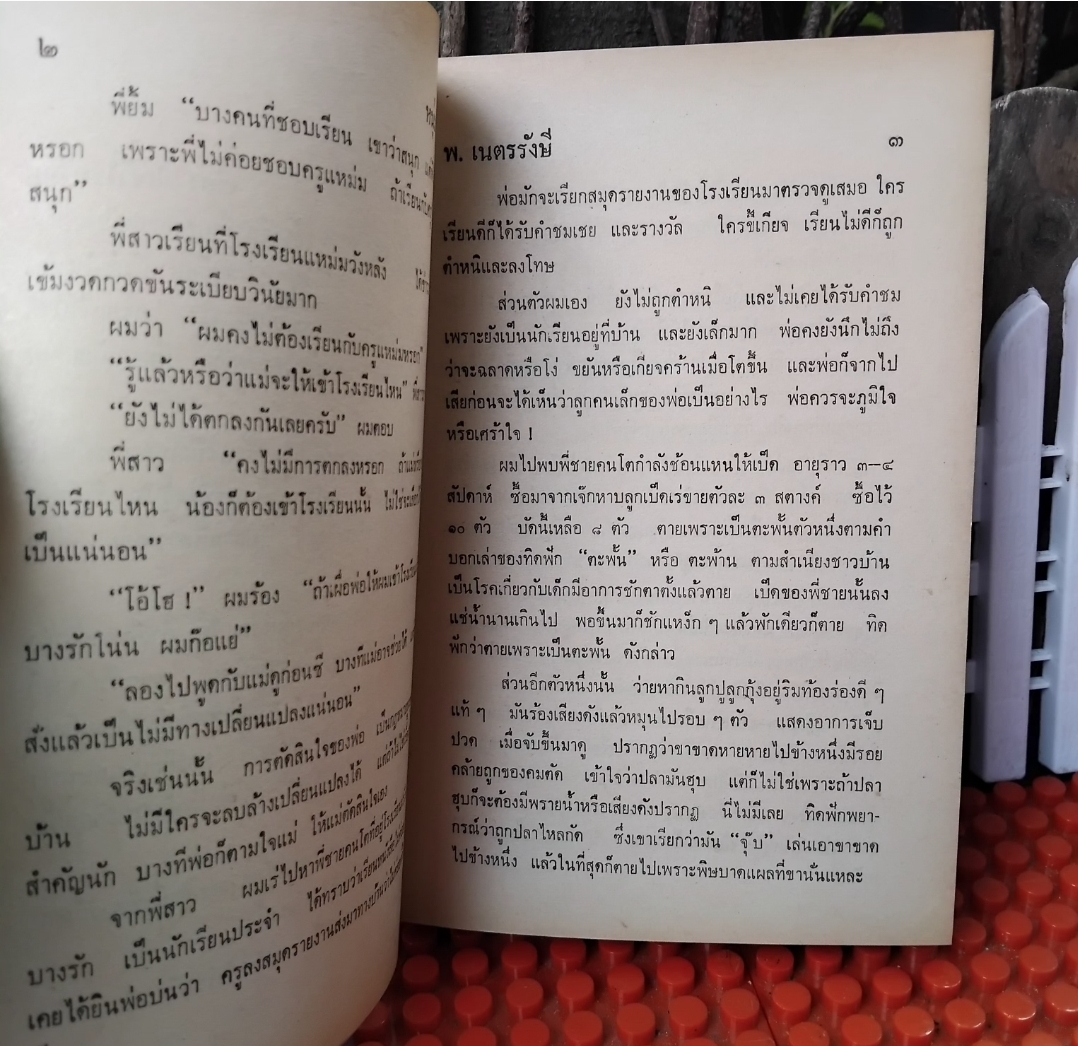 หนุ่มนักเรียน โดย พ.เนตรรังษี ภาคต่อของของเด็กบ้านสวน มือ1 วรรณกรรมชีวิตนักเรียนไทยปี 2460