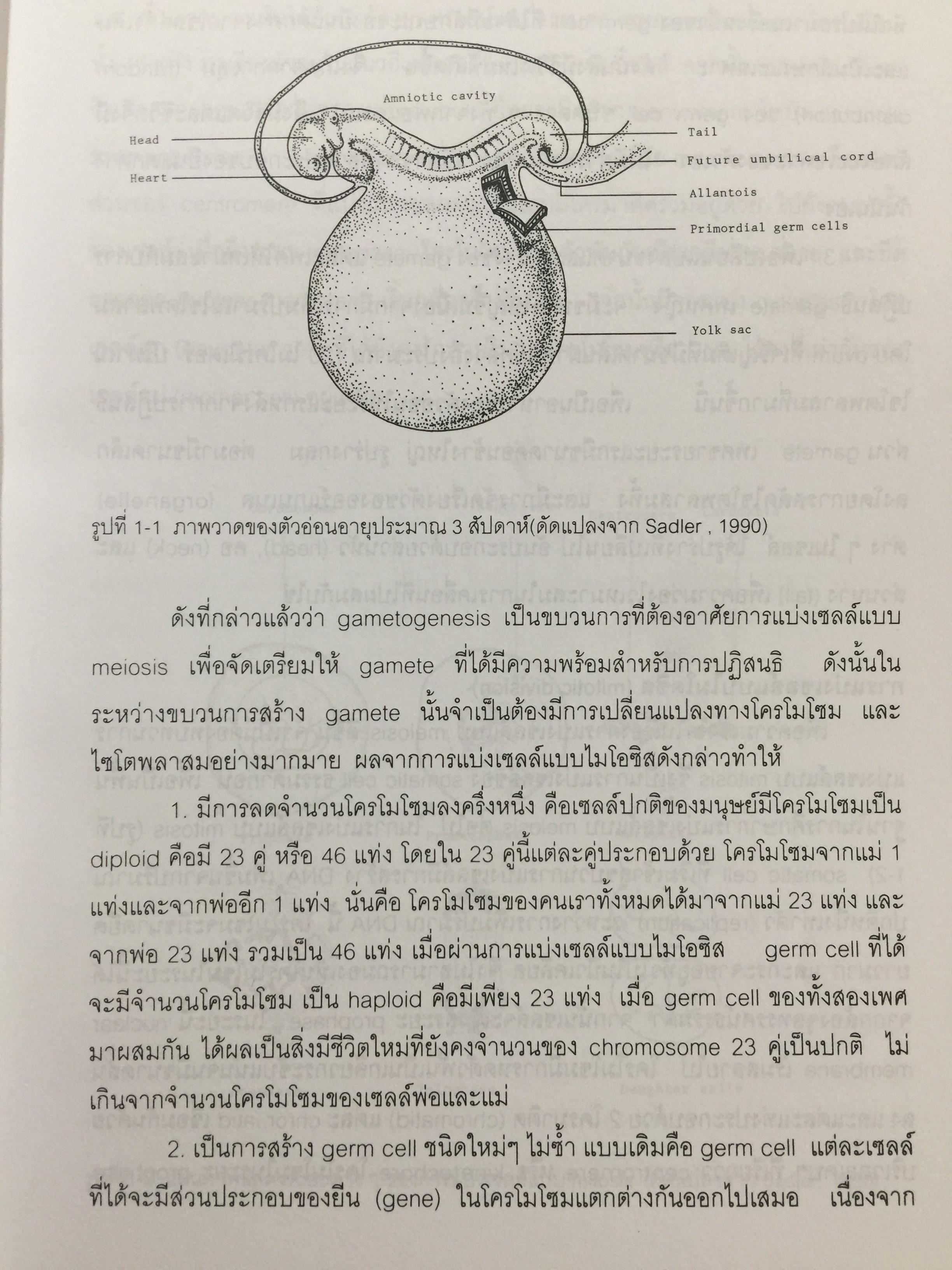 การตรวจสอบภายในสมัยใหม่ ผู้เขียน อุษณา ภัทรมนตรี 3 กก.