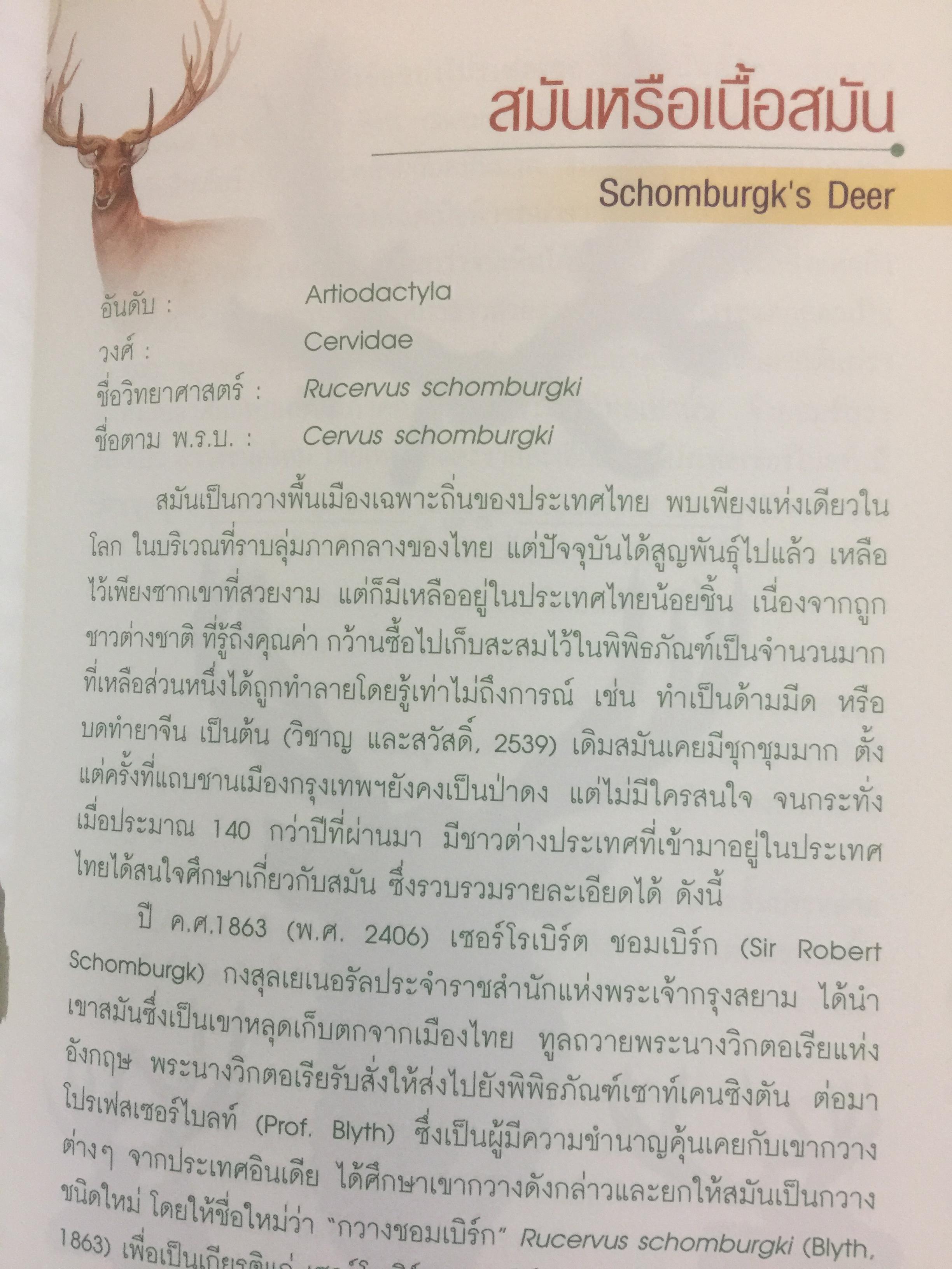 สัตว์ป่าสงวนในประเทศไทย Reserved Animals of Thailand 0 กก.