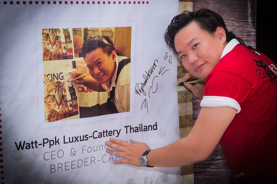 COMPLETED GROOMING SOLUTION