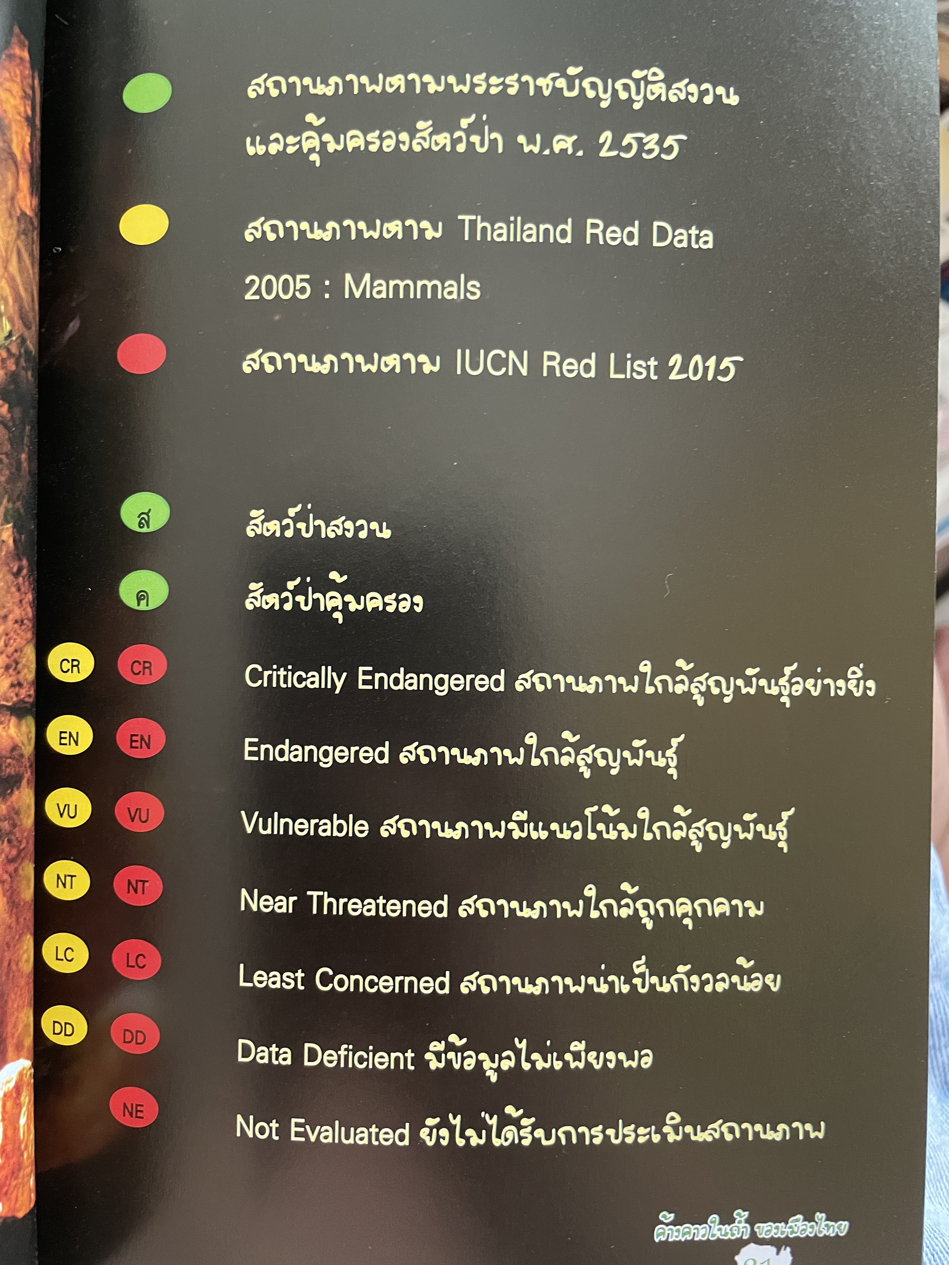 ค้างคาว ในถ้ำของเมืองไทย Cave-Dwelling Bats of. Thailand. จัดทำโดย กลุ่มงานวิจัยสัตว์ป่า สำนักอนุรักษ์สัตว์ป่า กรมอุทยานแห่งชาติ สัตว์ป่า และพันธุ์พืช 1,500 กรัม