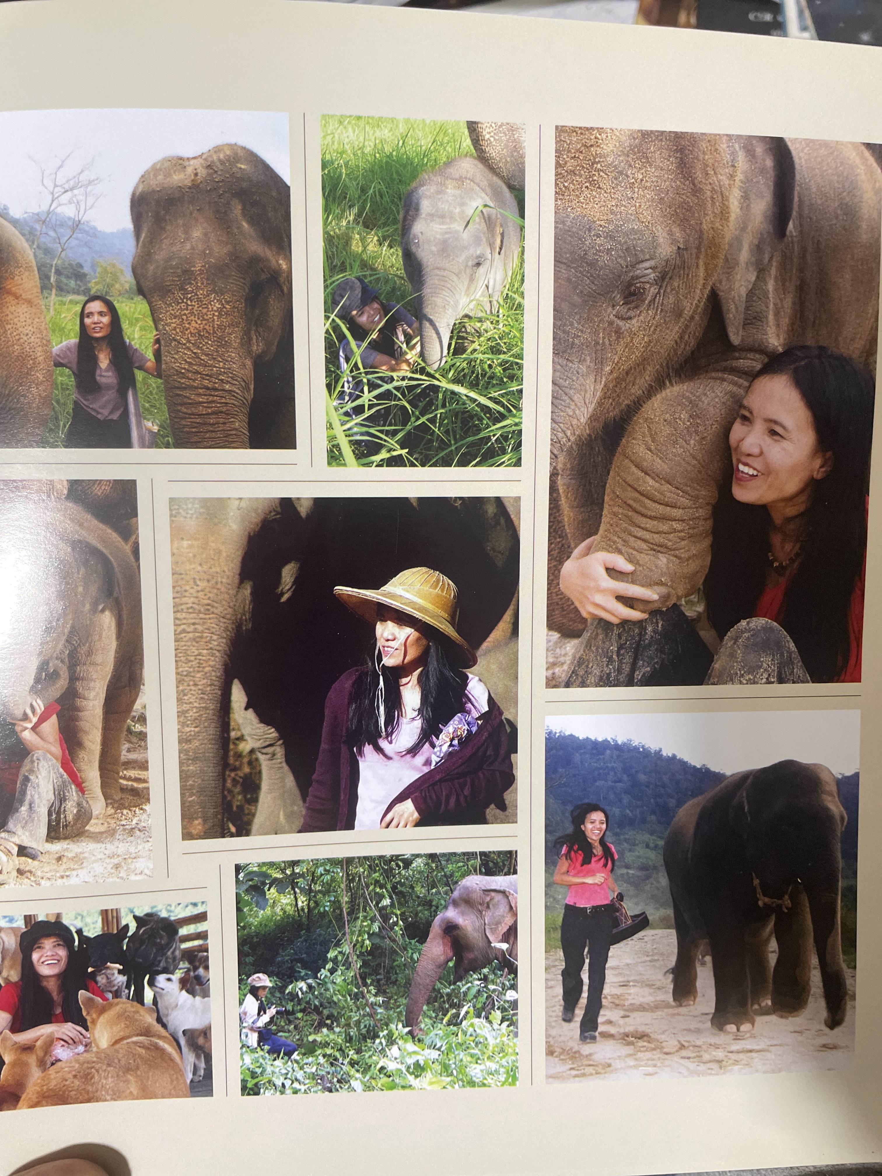 Elephants Living in Sanctuary 3 กก.