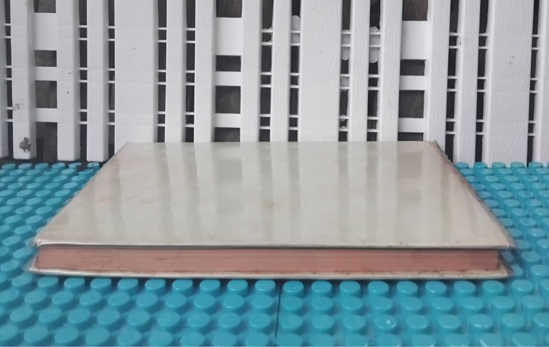 เคล็ดลับการฝึกวิชาตัวเบา และ อำนาจกำลังภายในกระแสลมปราณ โดย อ.วิสิทธิ์ เลิศฤทธิ์ ผู้ฝึกสอนการต่อสู้ให้นักเรียน จ.ป.ร.