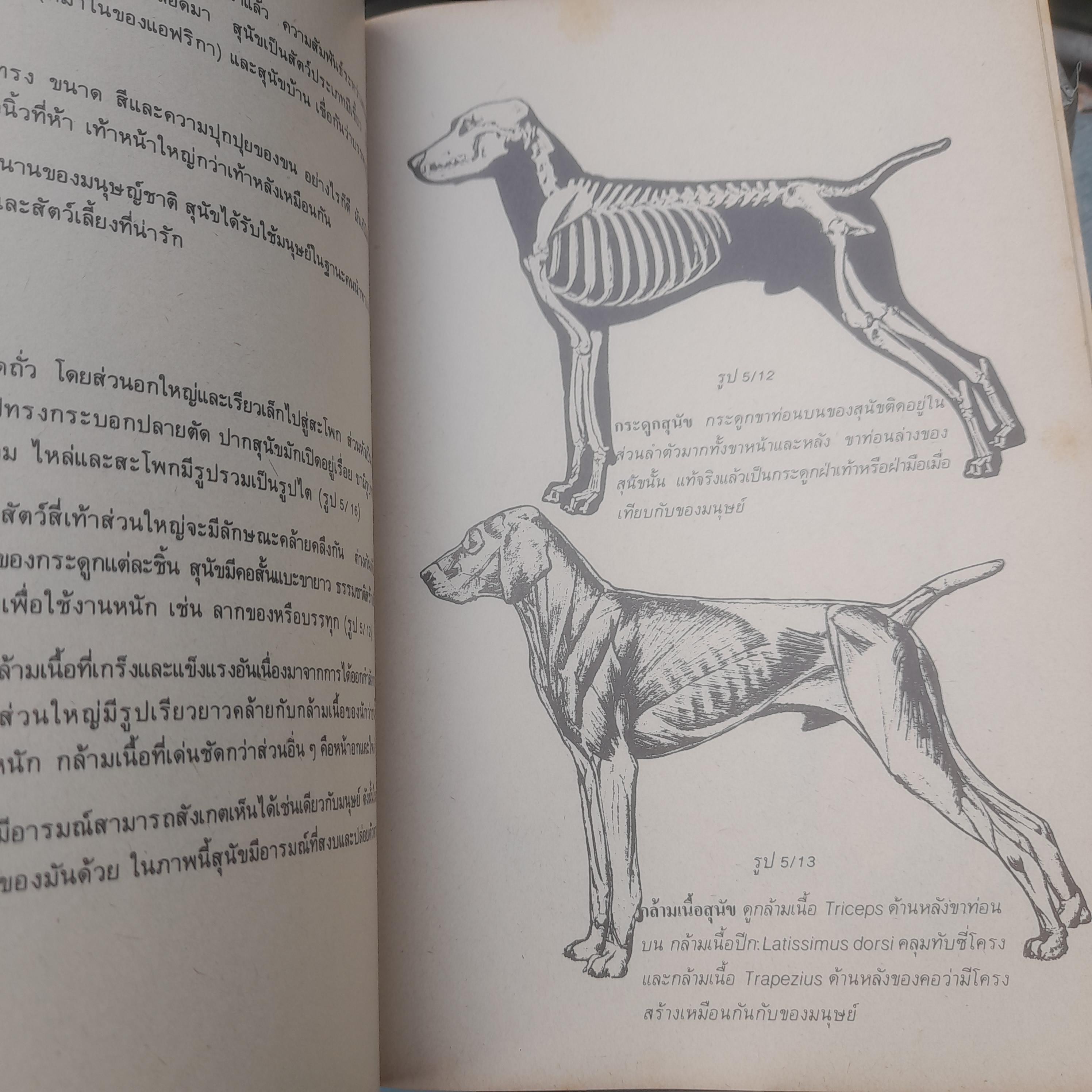 ตำราการเขียนภาพ โดย นิวิต หะนนท์ หนังสือมือหนึ่ง สภาพอ่าน