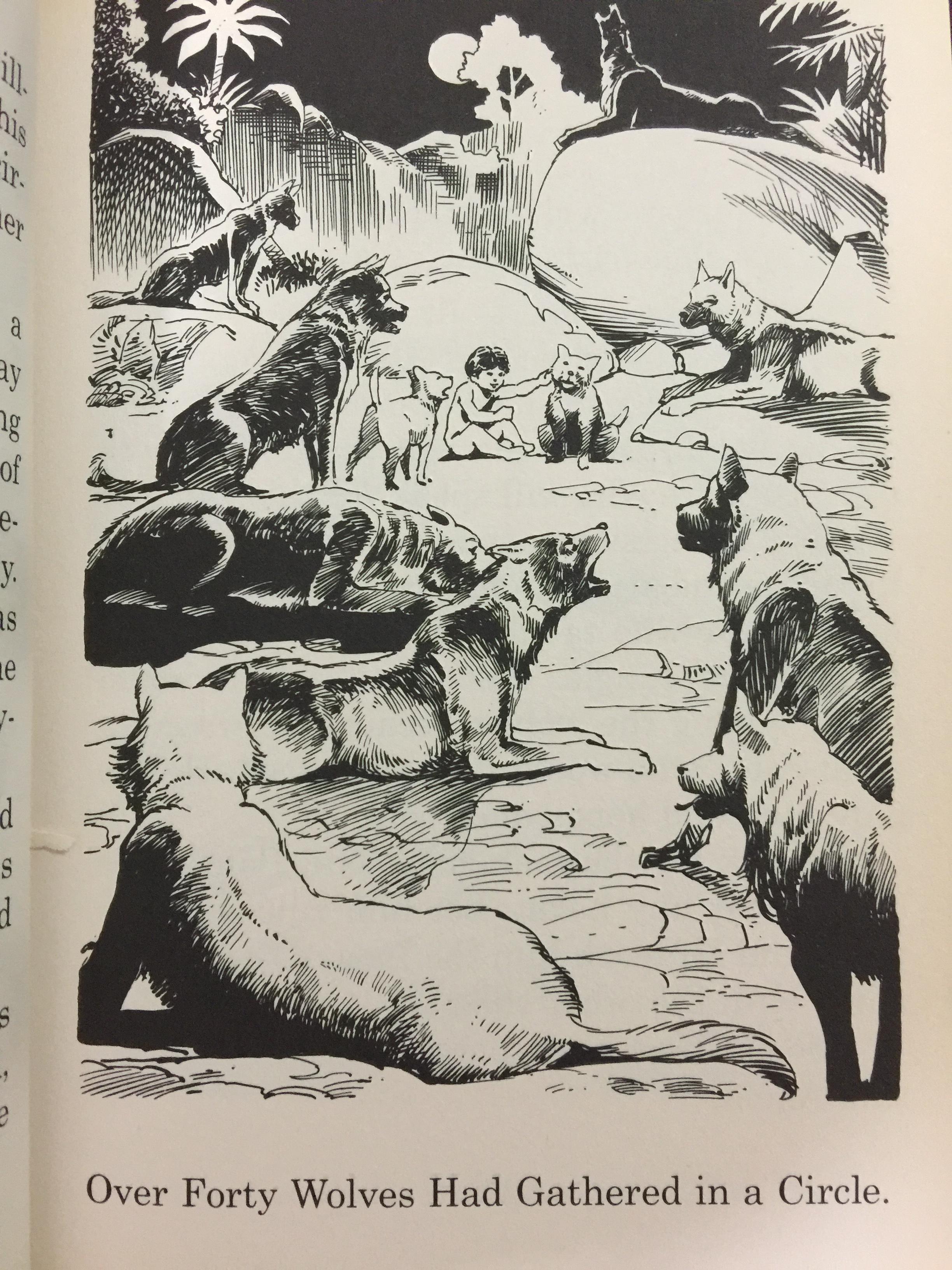 THE JUNGLE BOOK. Great Illustrated Classics. ผู้เขียน Rudyard Kipling 0 กก.