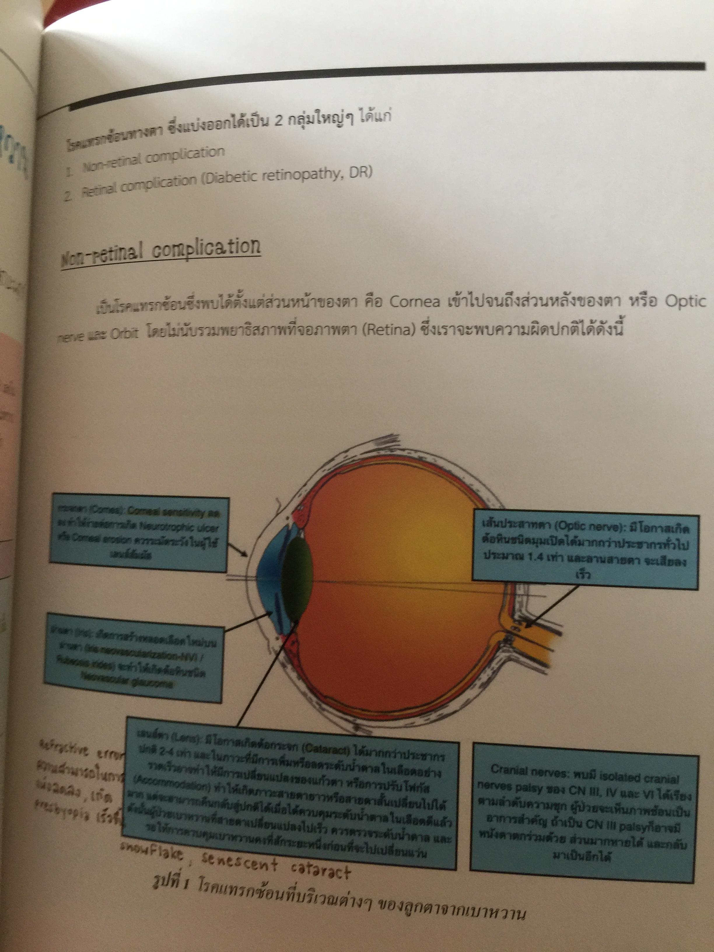 จักษุจุฬา. CHULA. EYE. BOOK สำหรับแพทย์ทั่วไป นิสิตนักศึกษาแพทย์ พยาบาล เจ้าหน้าที่ทางสาธารณสุขและบุคคลทั่วไปที่สนใจในโรคทางตา จัดทำโดย ภาควิชาจักษุวิทยา คณะแพทยศาสตร์ จุฬาลงกรณ์มหาวิทยาลัย 3 กก.