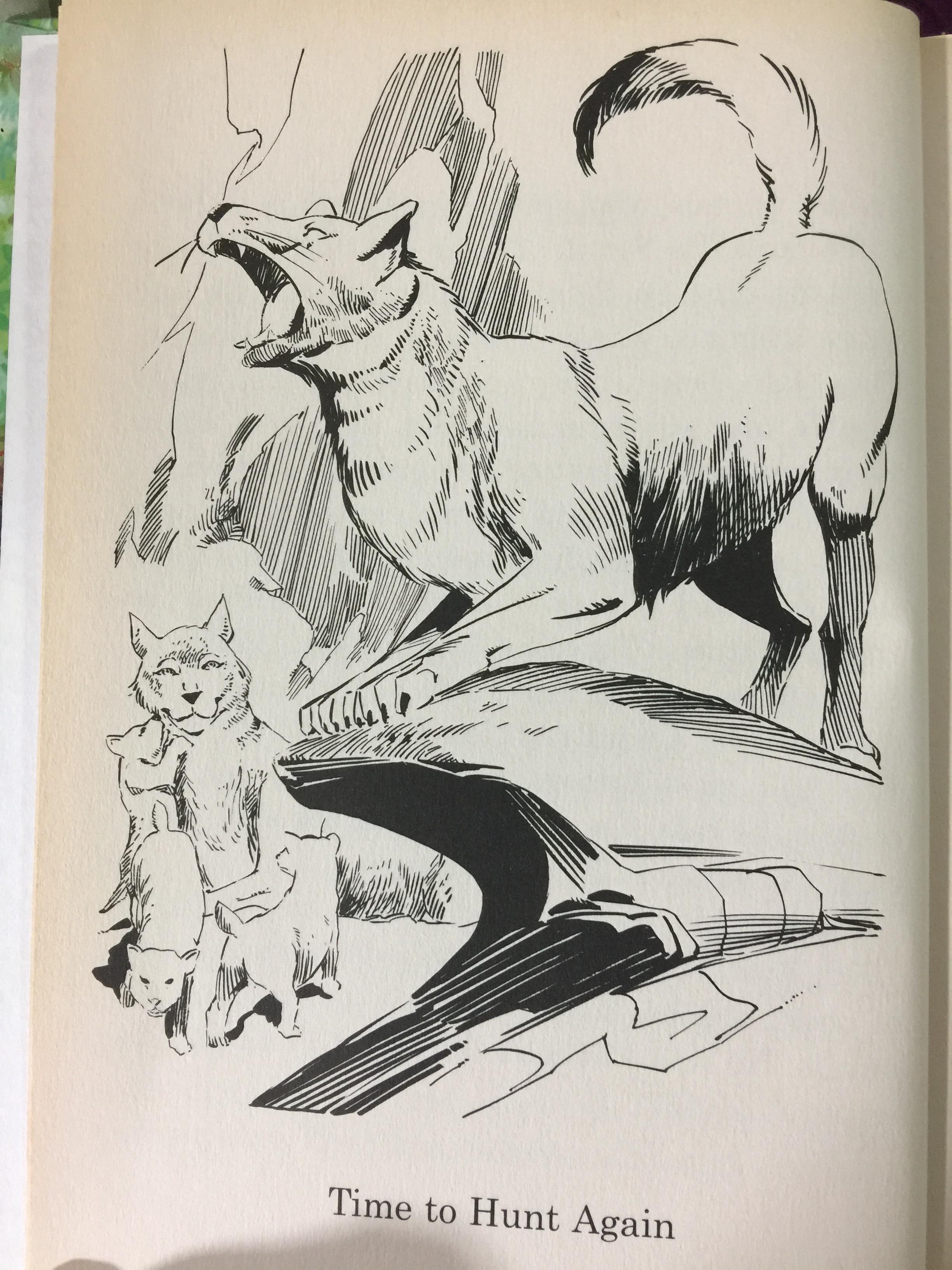 THE JUNGLE BOOK. Great Illustrated Classics. ผู้เขียน Rudyard Kipling 0 กก.