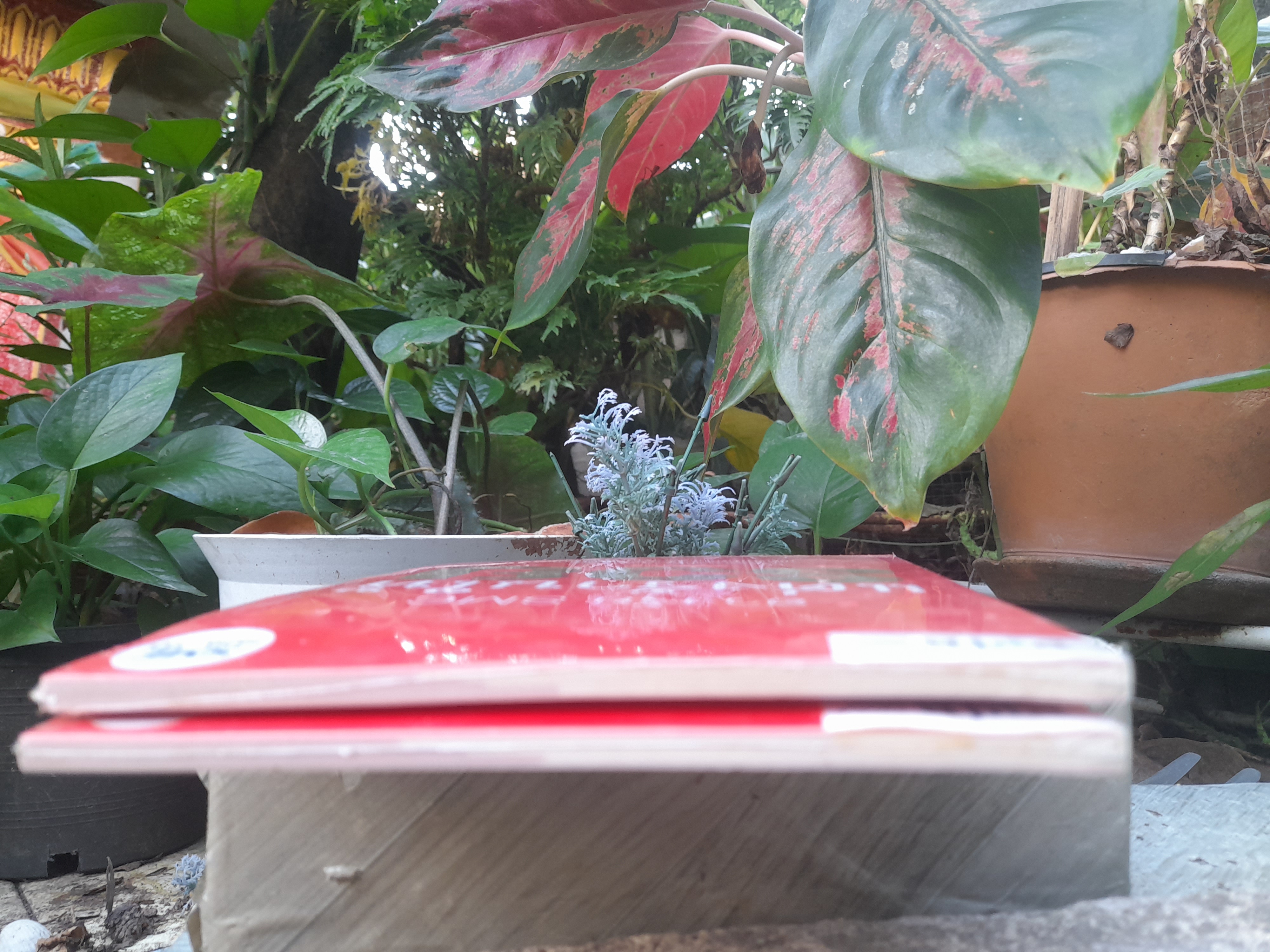 ฮวงจุ้ย SME แต่งร้านให้รวย โดย อ.มาโนช ประภาษานนท์ มือหนึ่งในซีล พร้อม CD รายการฮวงจุ้ย SME