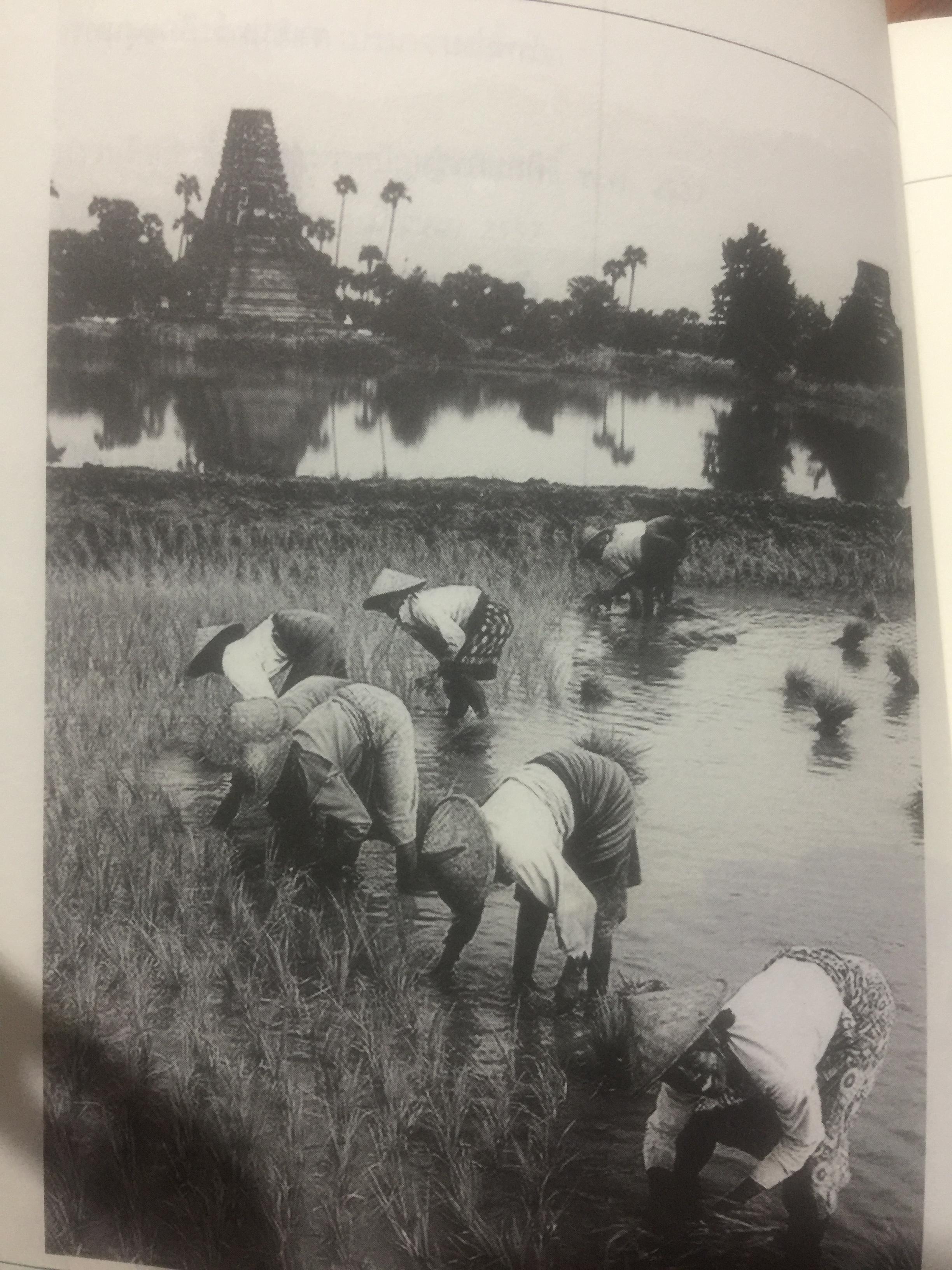 คำสอนเซ็น ภาค เซ็นในสายเลือด ปรมาจารย์ตั๊กม้อ 0 กก.