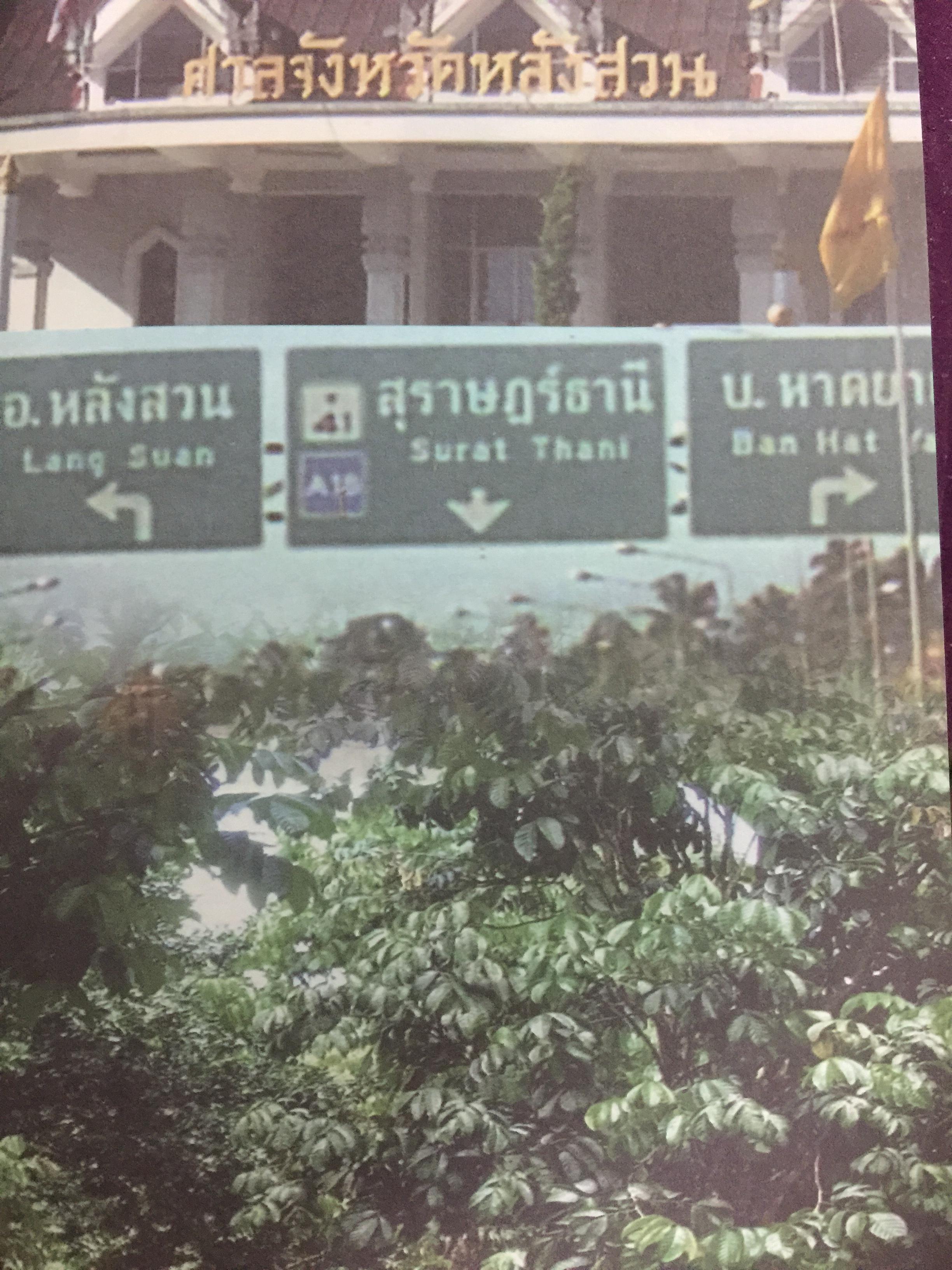 แลหลังสวน (ชุมพร) หนังสือชุดประวัติศาสตร์ท้องถิ่น ผู้เขียน จารุวัสตร์ วงษ์วิเศษ 0 กก.