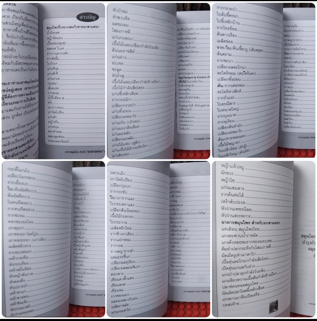 อาหารสมุนไพรสำหรับชายอกสามศอก โดย ภาณุทรรศน์ กับ สมุนไพรภาคอีสานยาแก่เฒ่าช้า โดย ธนพัฒน์ เมธาพิทักษ์